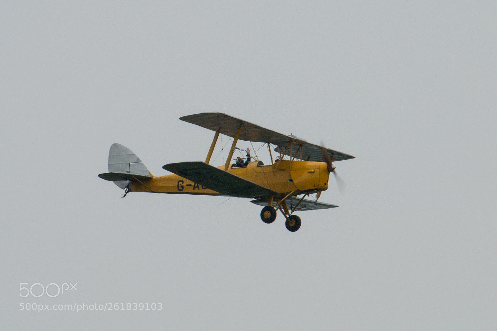 Canon EOS 70D sample photo. Tiger moth, g-aobx photography