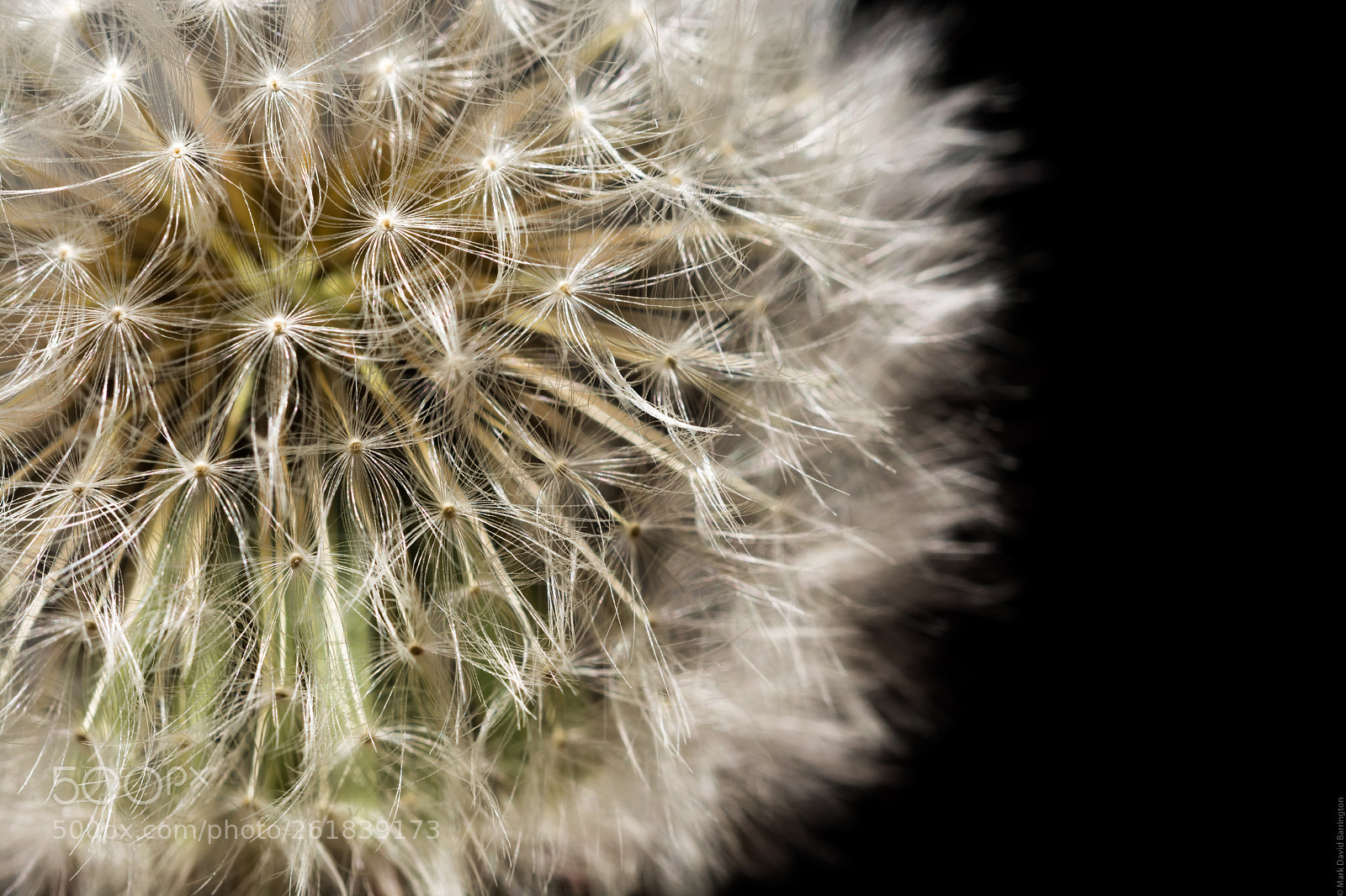 Nikon D7100 sample photo. Untitled photography
