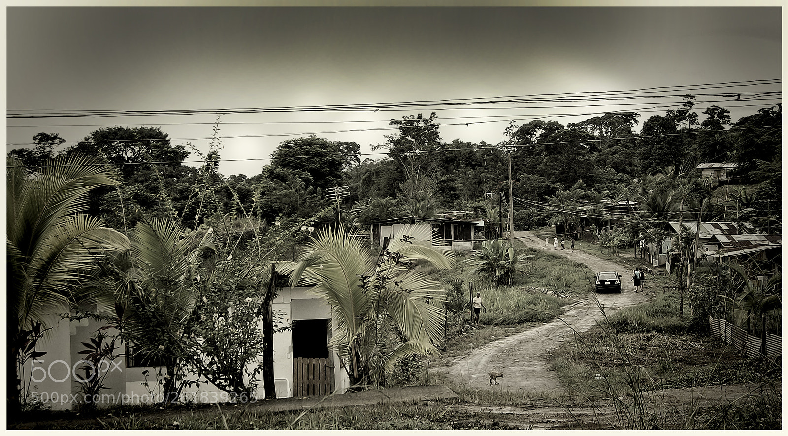 Nikon D40 sample photo. The winding road photography