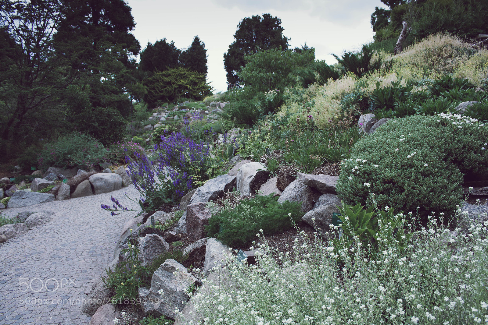 Canon EOS 1000D (EOS Digital Rebel XS / EOS Kiss F) sample photo. In the middle of photography