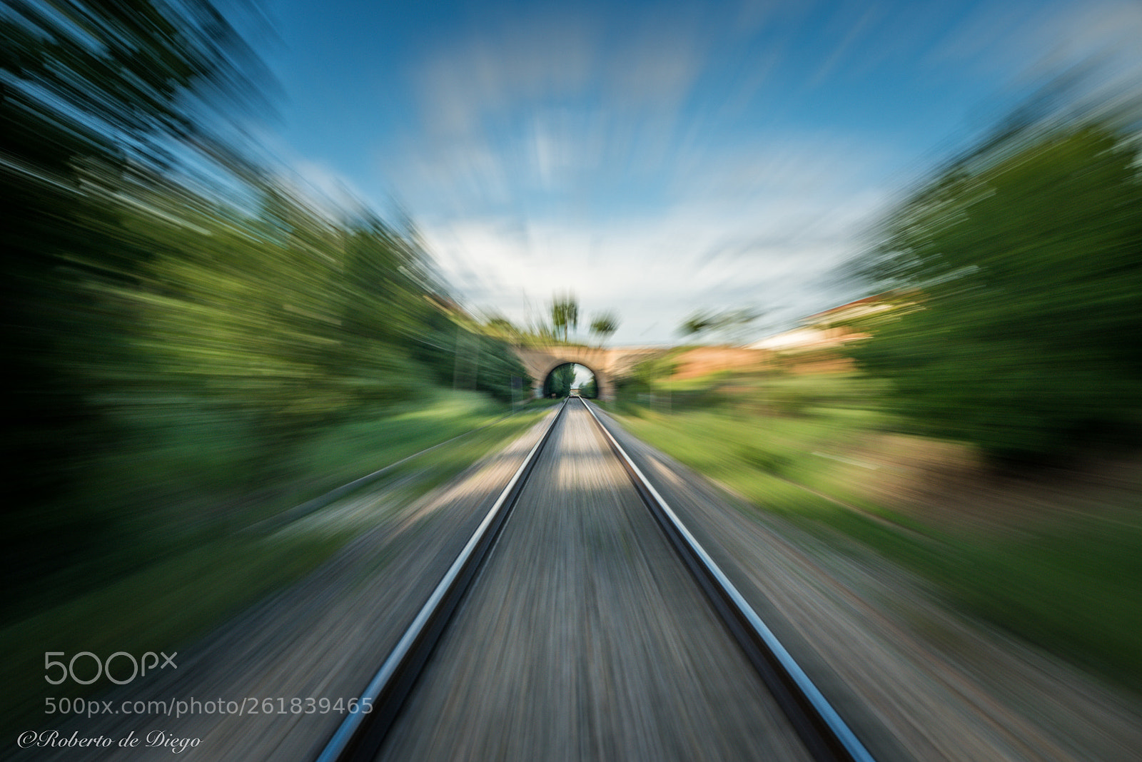 Nikon D750 sample photo. Speed. photography