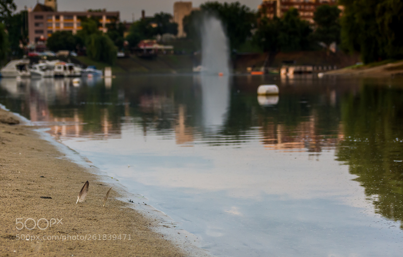 Nikon D7200 sample photo. On the beach photography