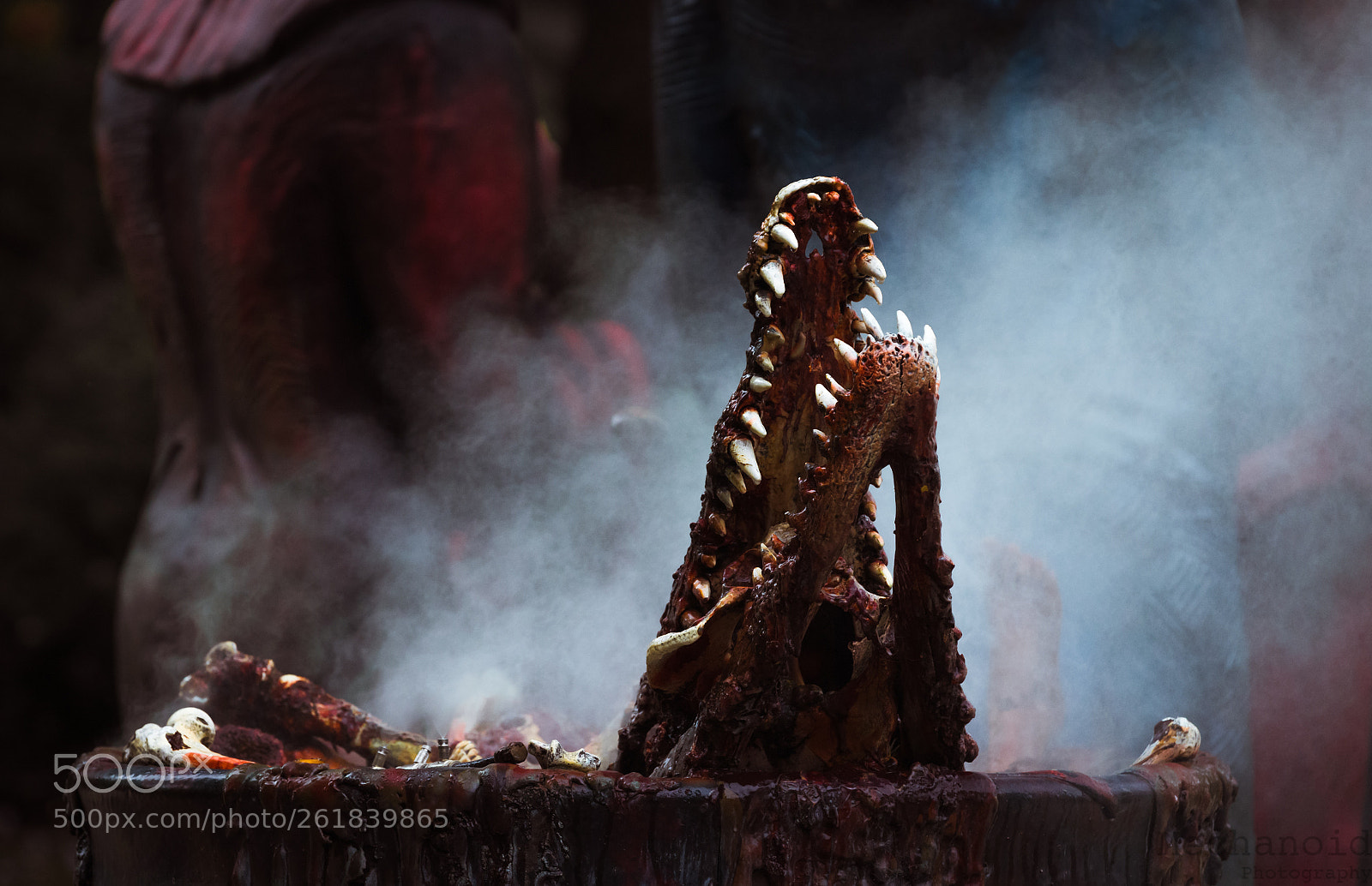 Canon EOS-1D C sample photo. The jaws of fate photography