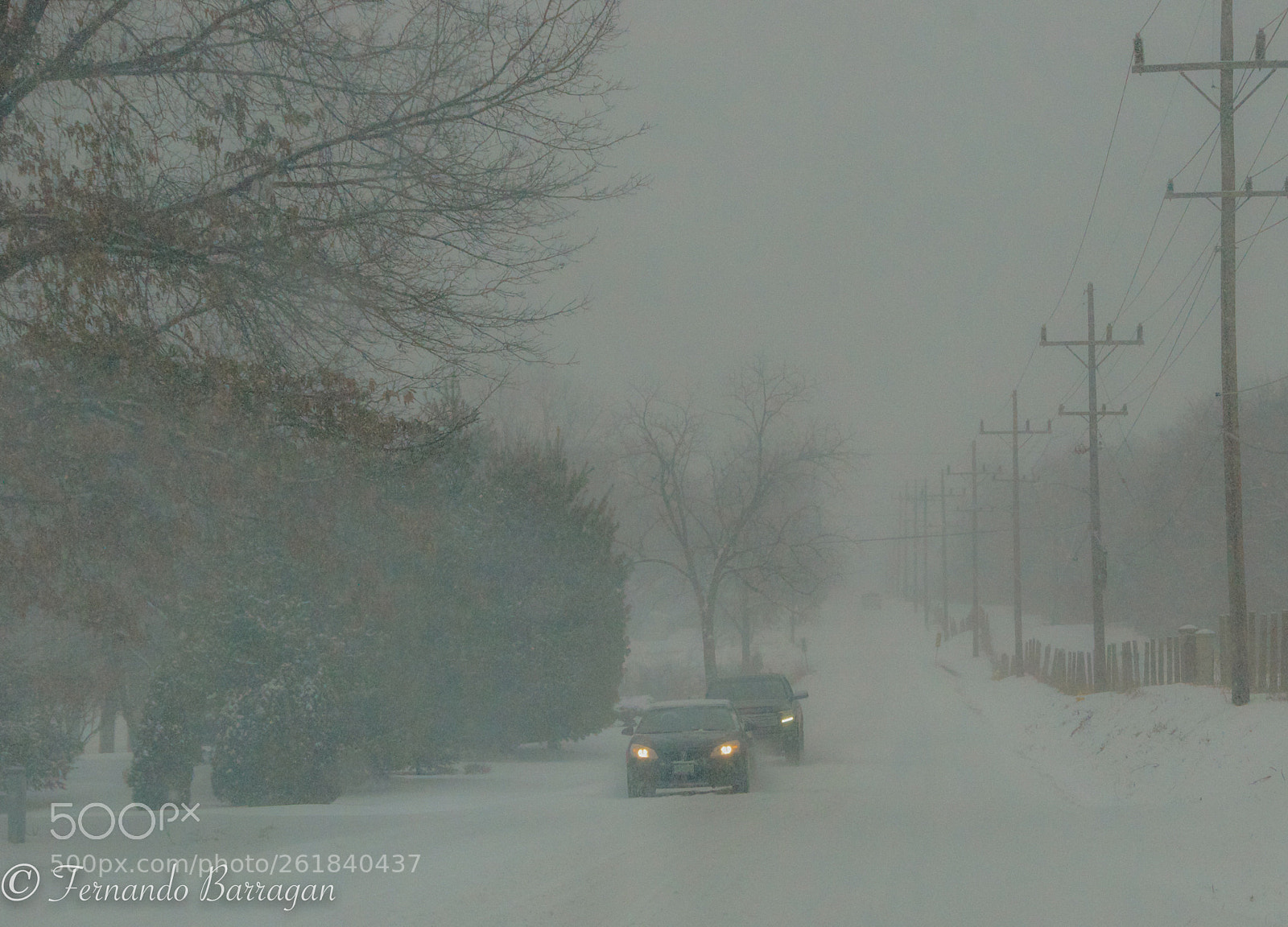 Nikon D300S sample photo. Sprinfield nevado photography