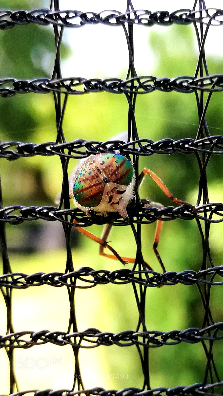 HUAWEI P10 sample photo. Untitled photography
