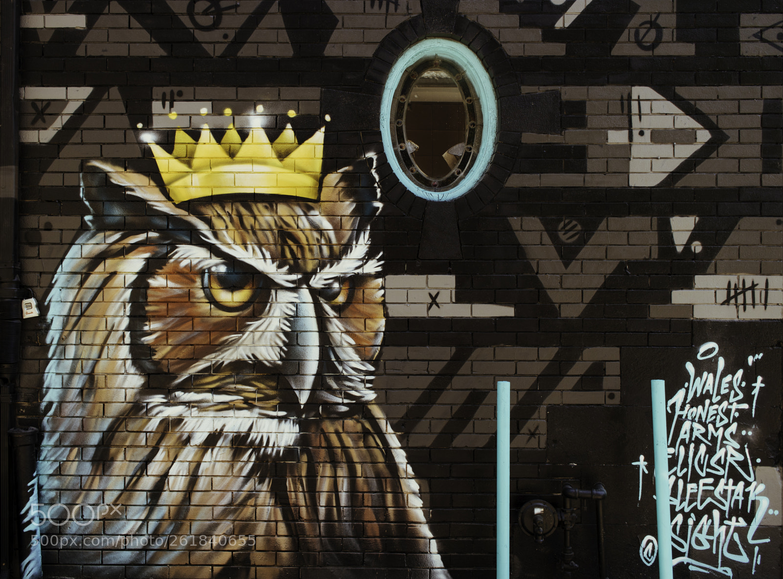 Canon EOS 750D (EOS Rebel T6i / EOS Kiss X8i) sample photo. The owl king photography