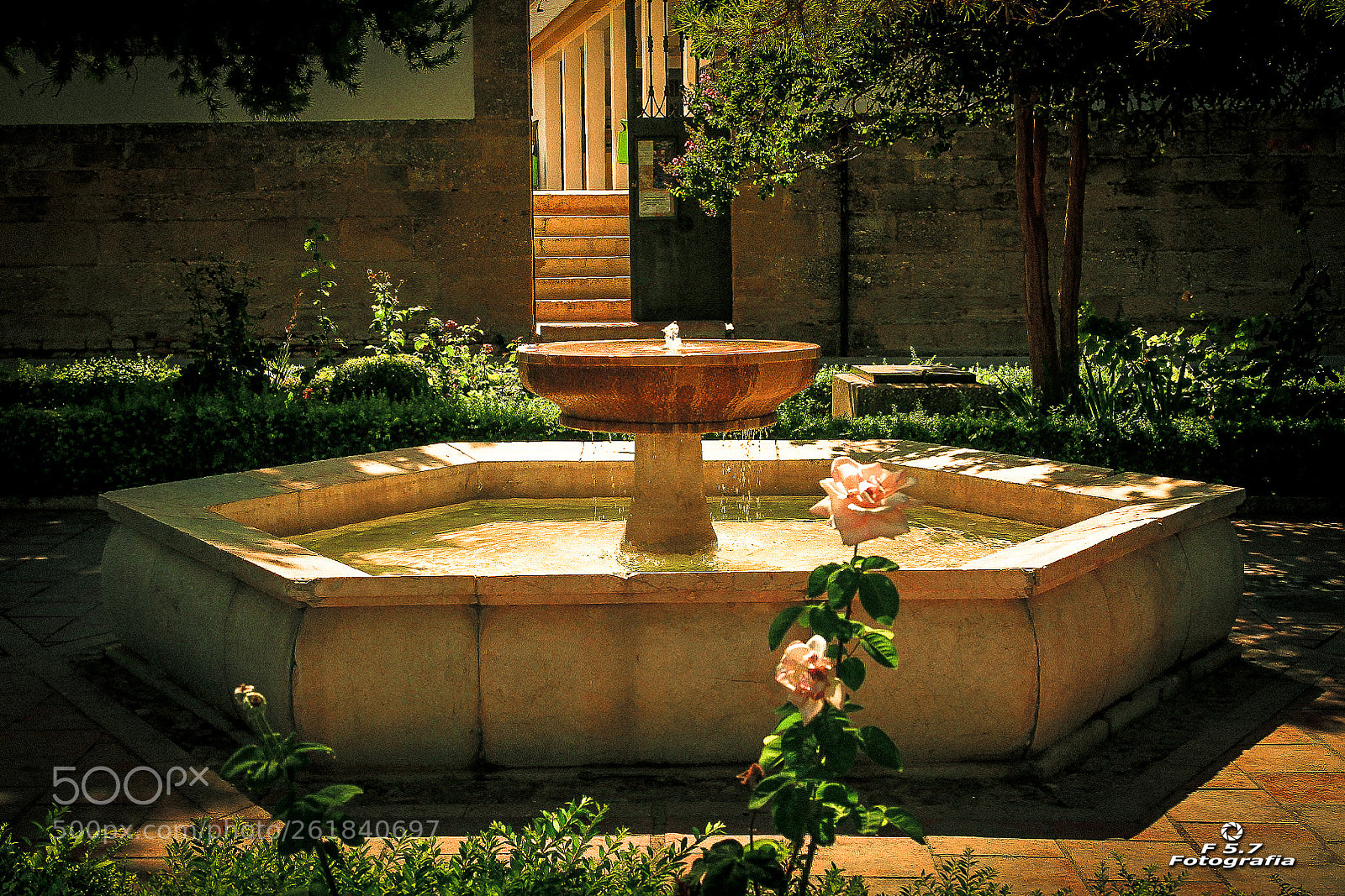 Canon EOS 7D sample photo. Fuente - ronda photography