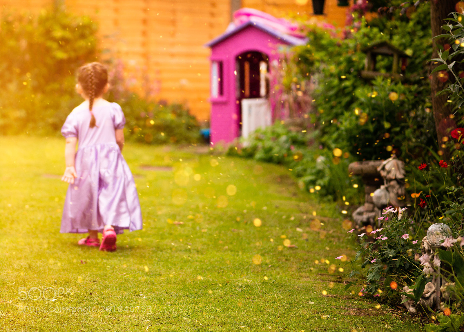 Nikon D800E sample photo. Off to fairyland  photography