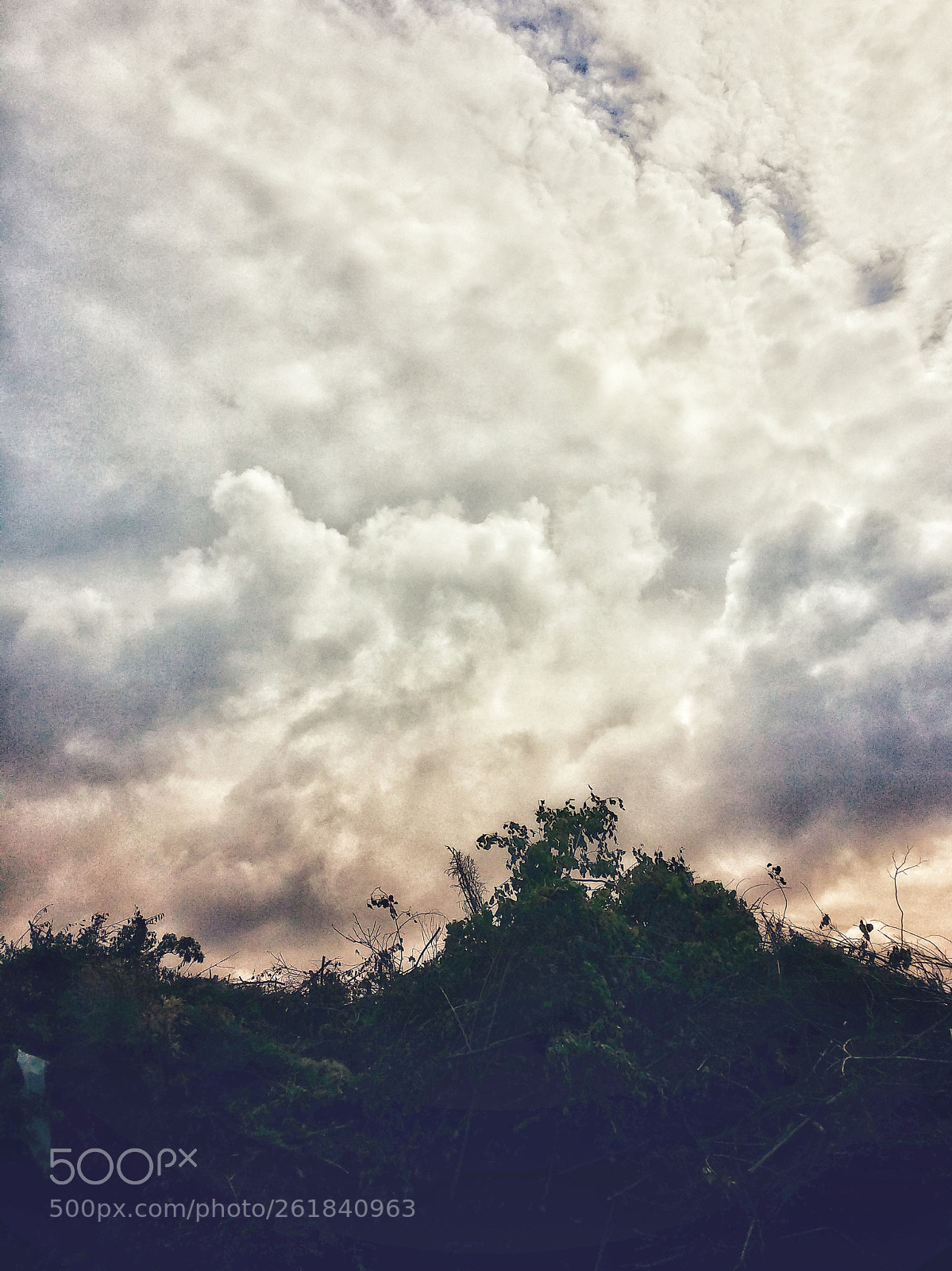 Samsung Galaxy S4 sample photo. Ut 707 photography