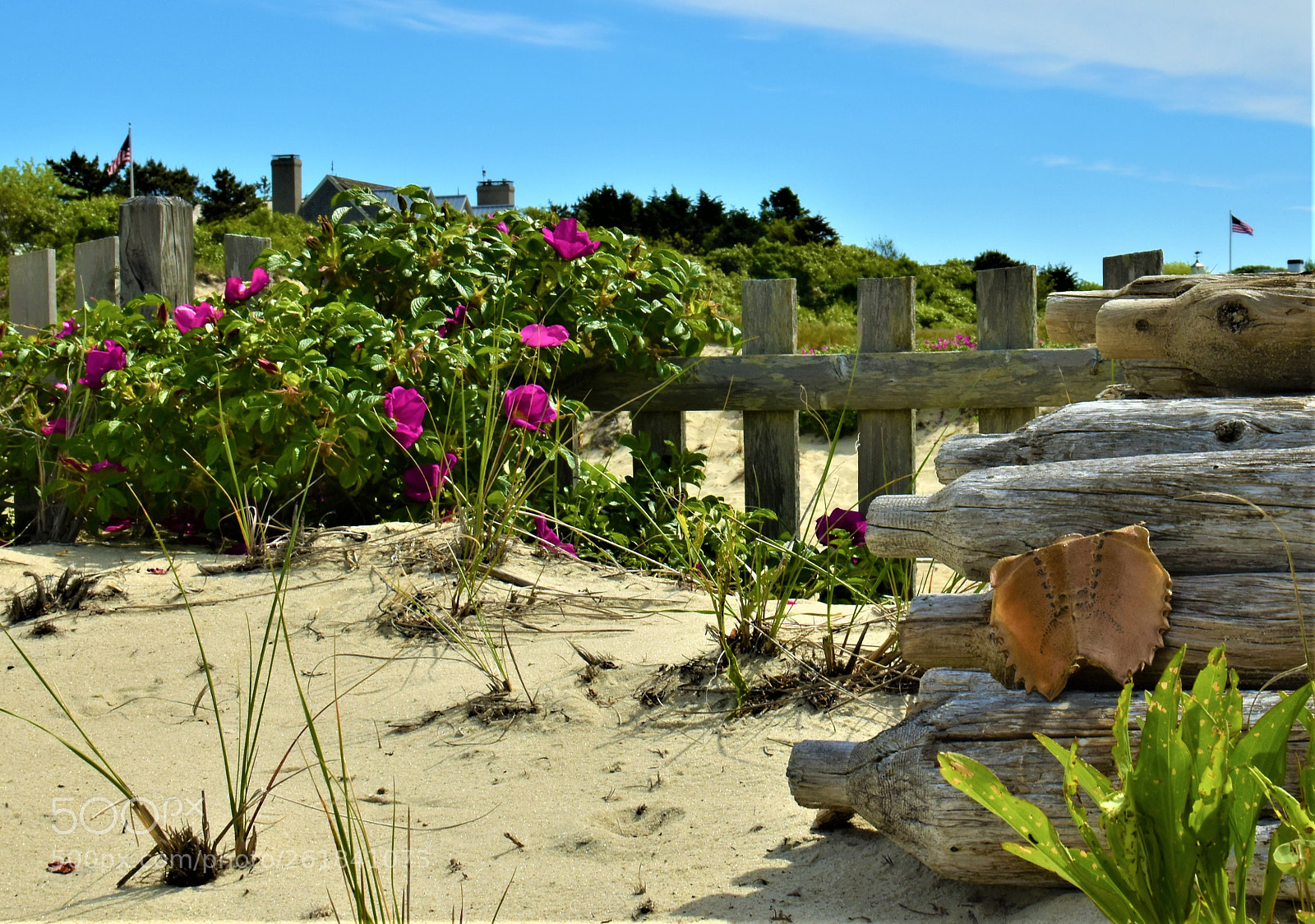 Nikon D5500 sample photo. Cape cod photography