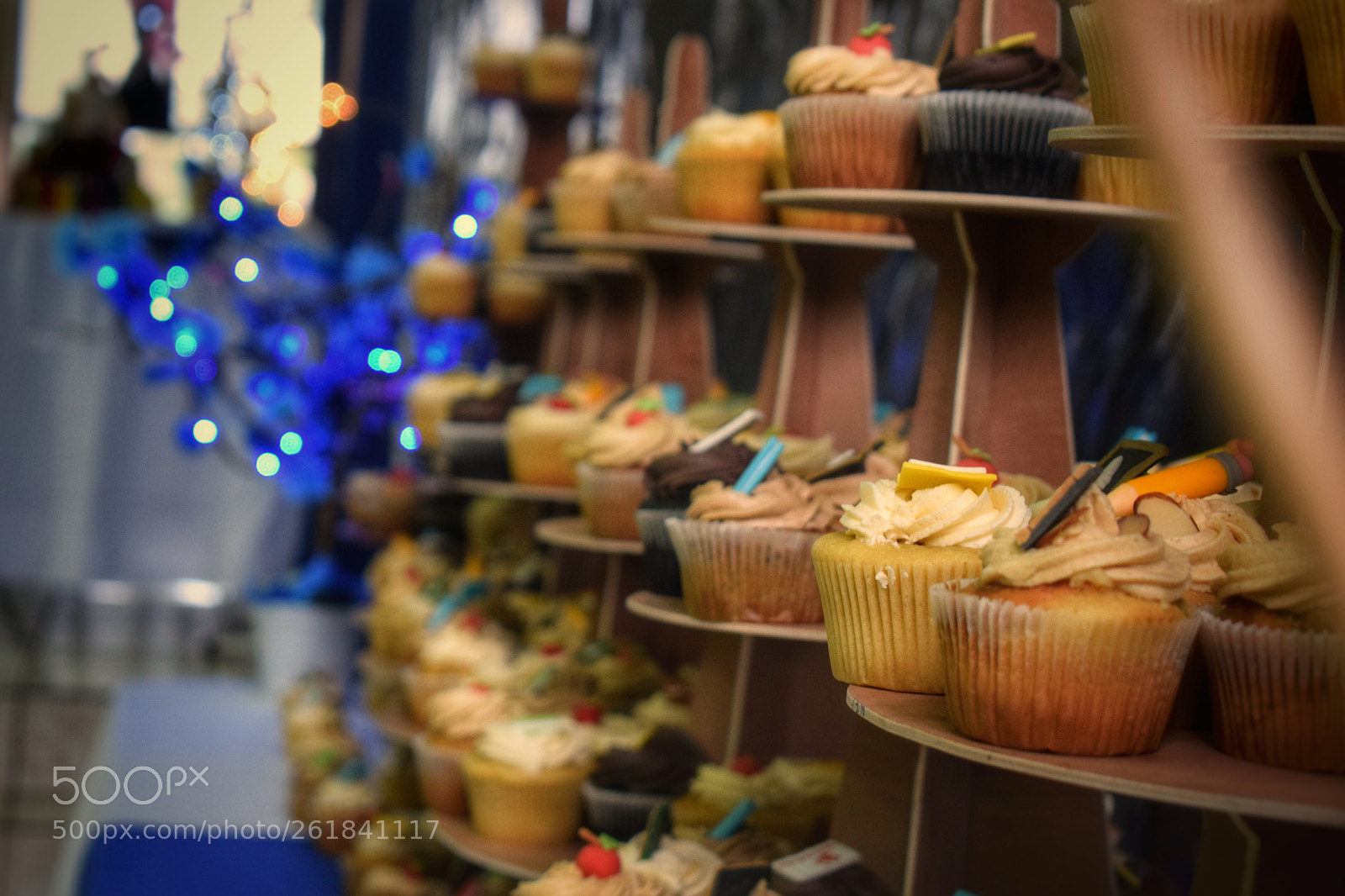 Nikon D3300 sample photo. Untitled photography