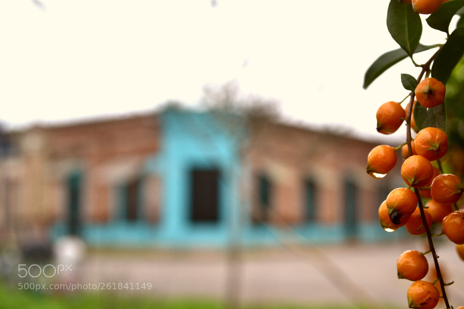 Nikon D3100 sample photo. Untitled photography
