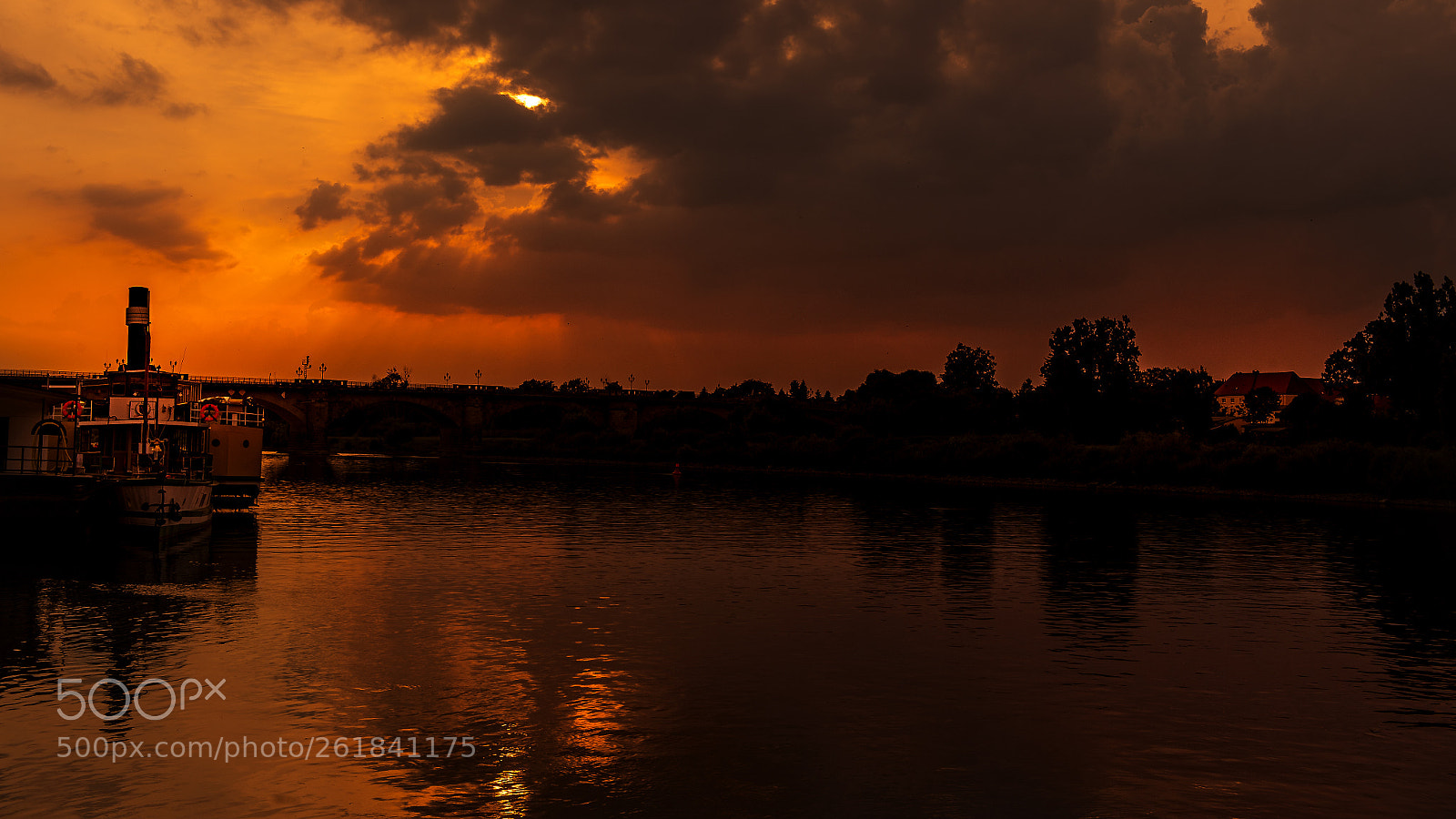 Nikon D4 sample photo. Rose golden sunset in photography