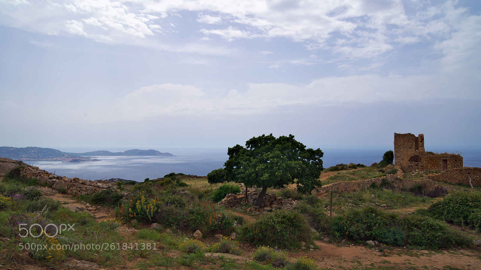 Sony a7 III + Sony FE 24-70mm F2.8 GM sample photo. Village d'occi - lumio photography