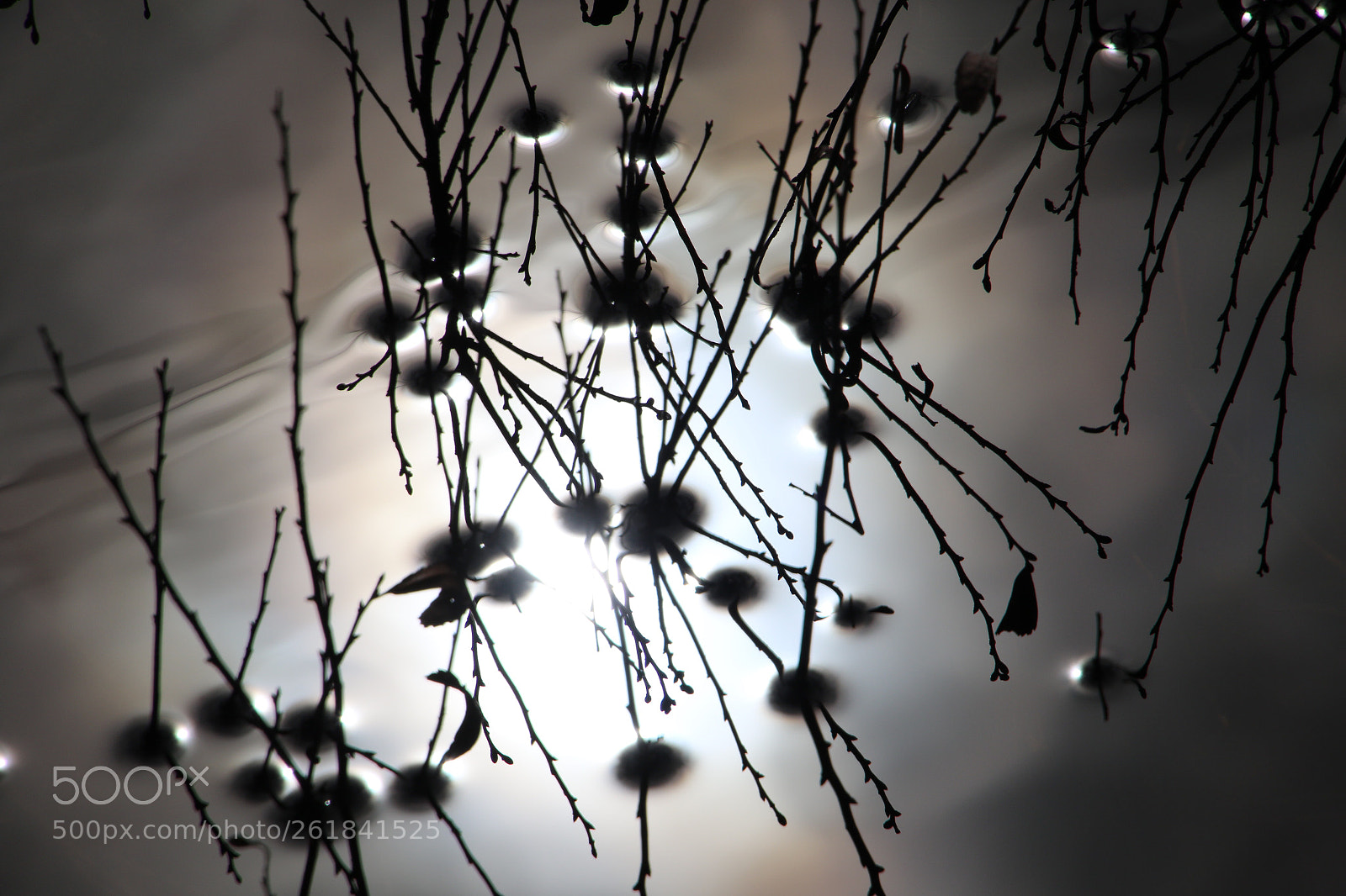 Canon EOS 7D Mark II sample photo. Untitled photography