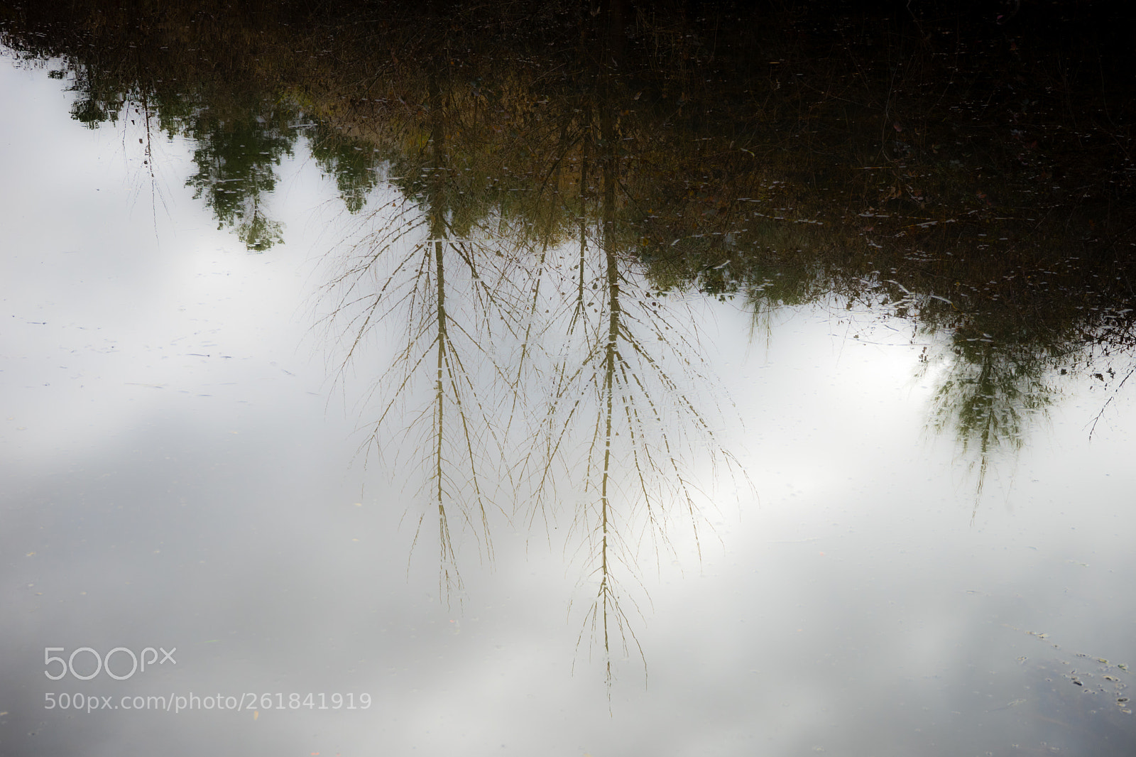 Sony a7 sample photo. Reflections photography