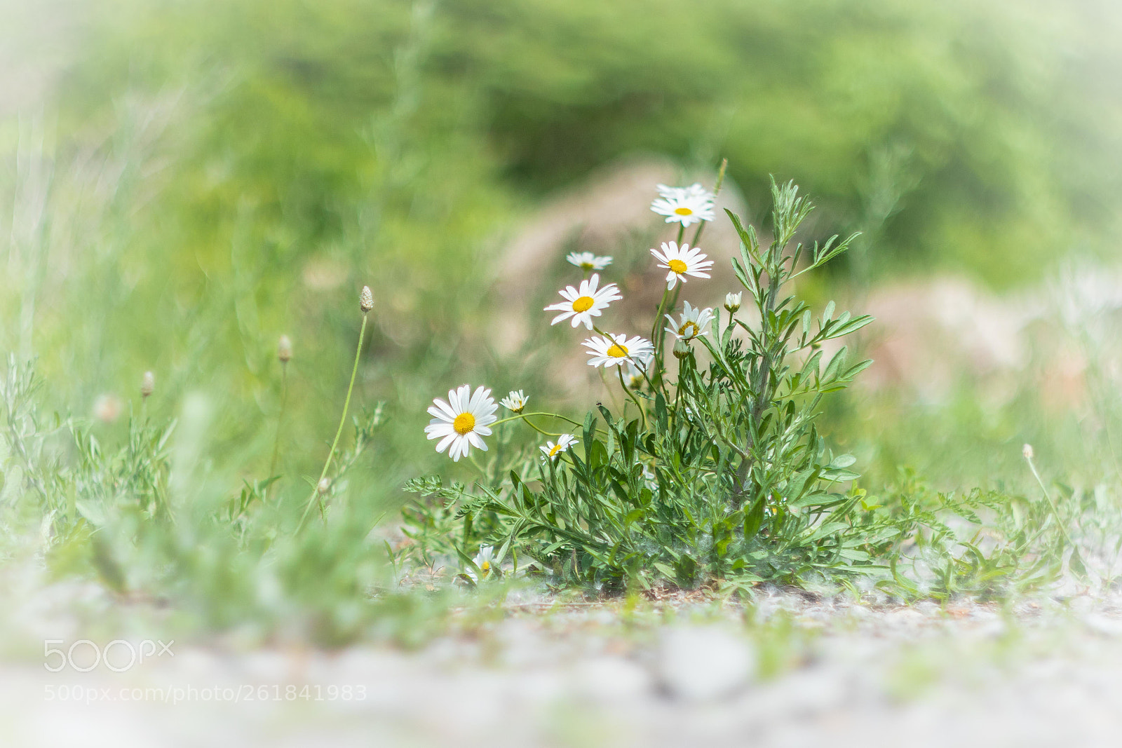 Canon EOS M6 sample photo. ... photography
