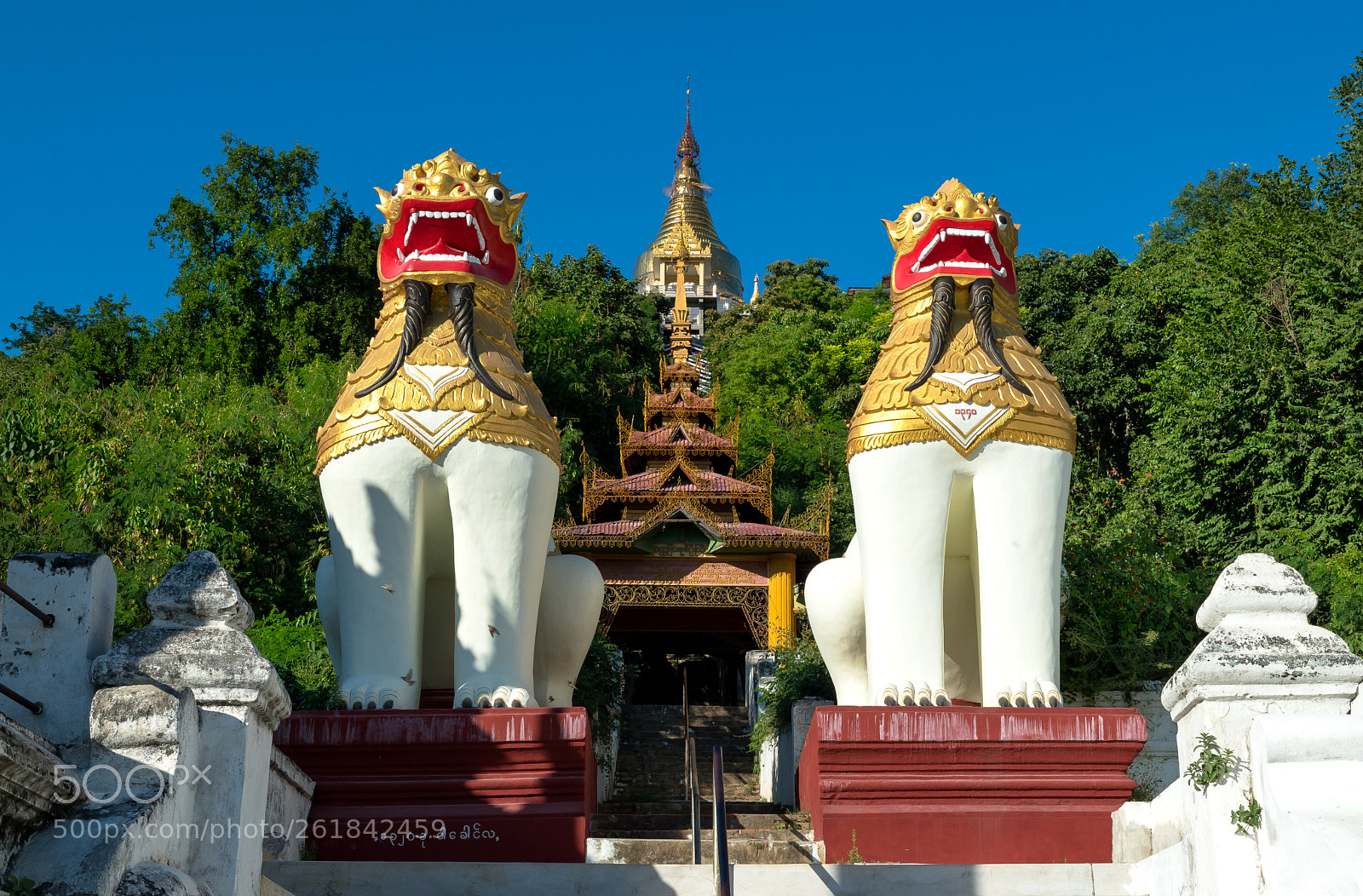 Nikon D5500 sample photo. Twin lions sculptures at photography