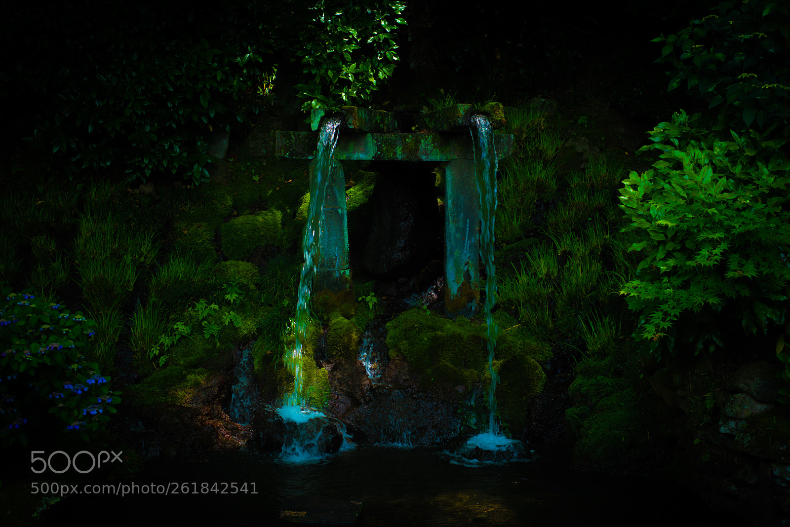 Nikon D810 sample photo. 一寸先は闇 photography