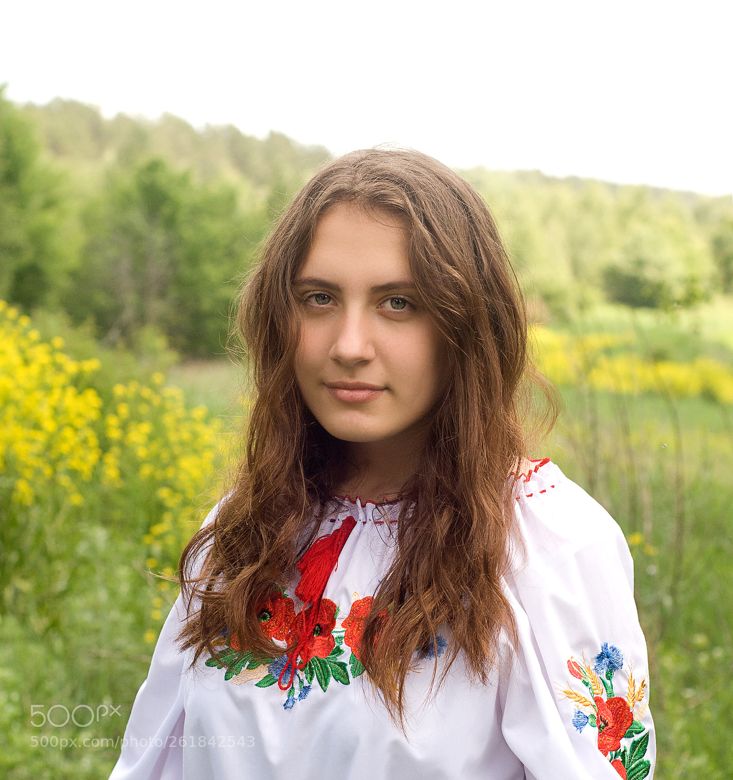 Nikon D80 sample photo. *** photography