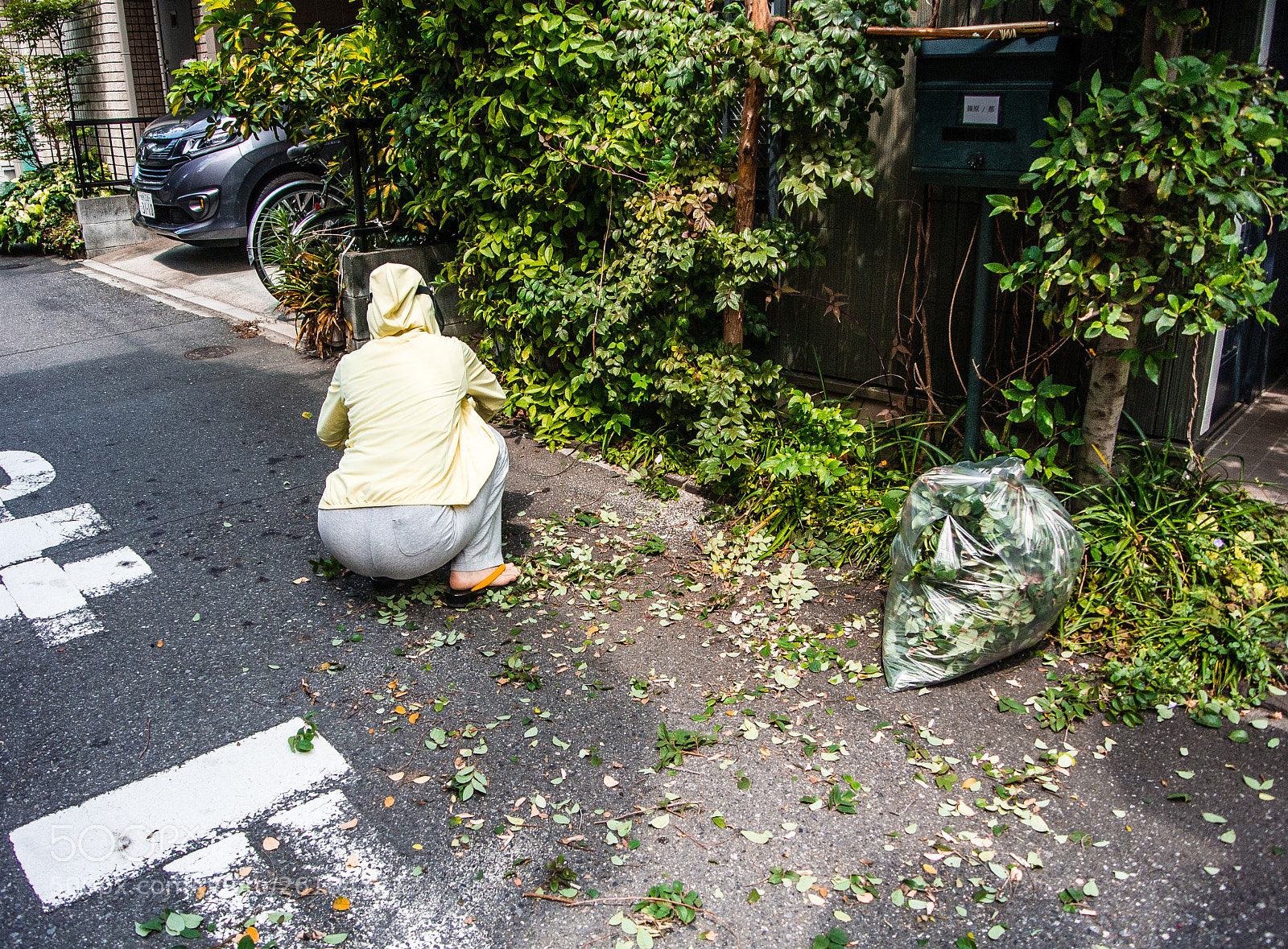 Nikon 1 V1 sample photo. Cleaning the planting trees photography