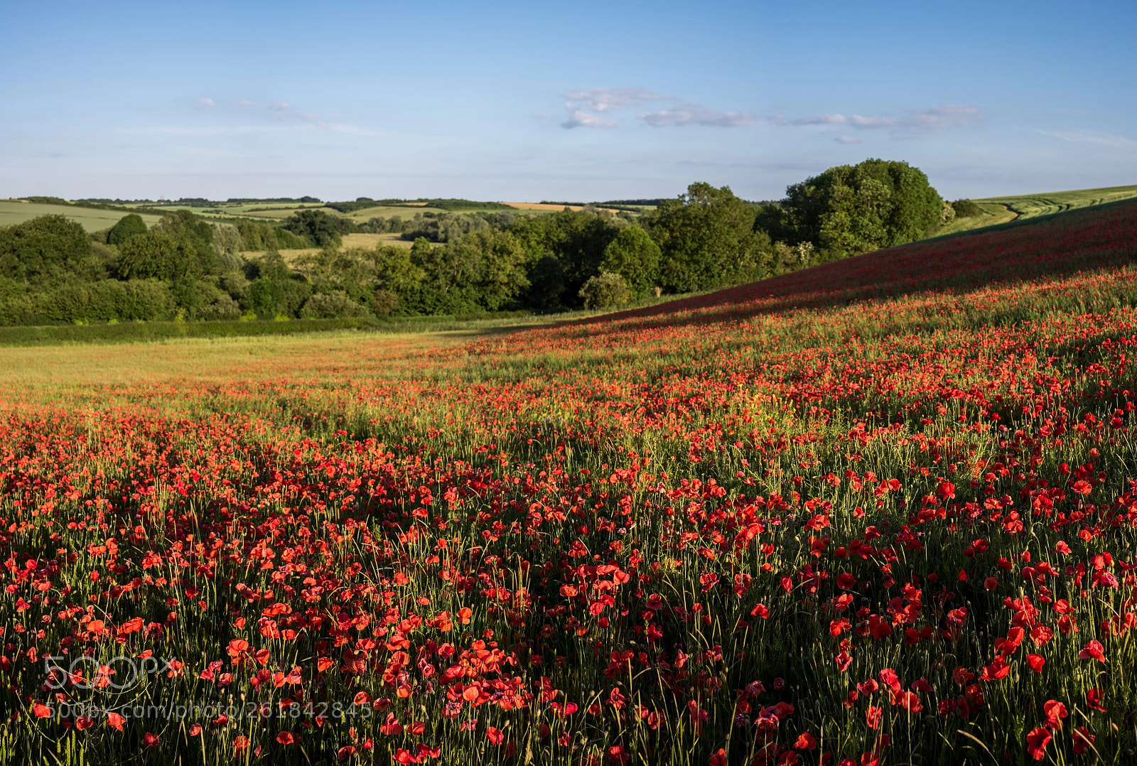 Nikon D810 sample photo. Woodford valley photography
