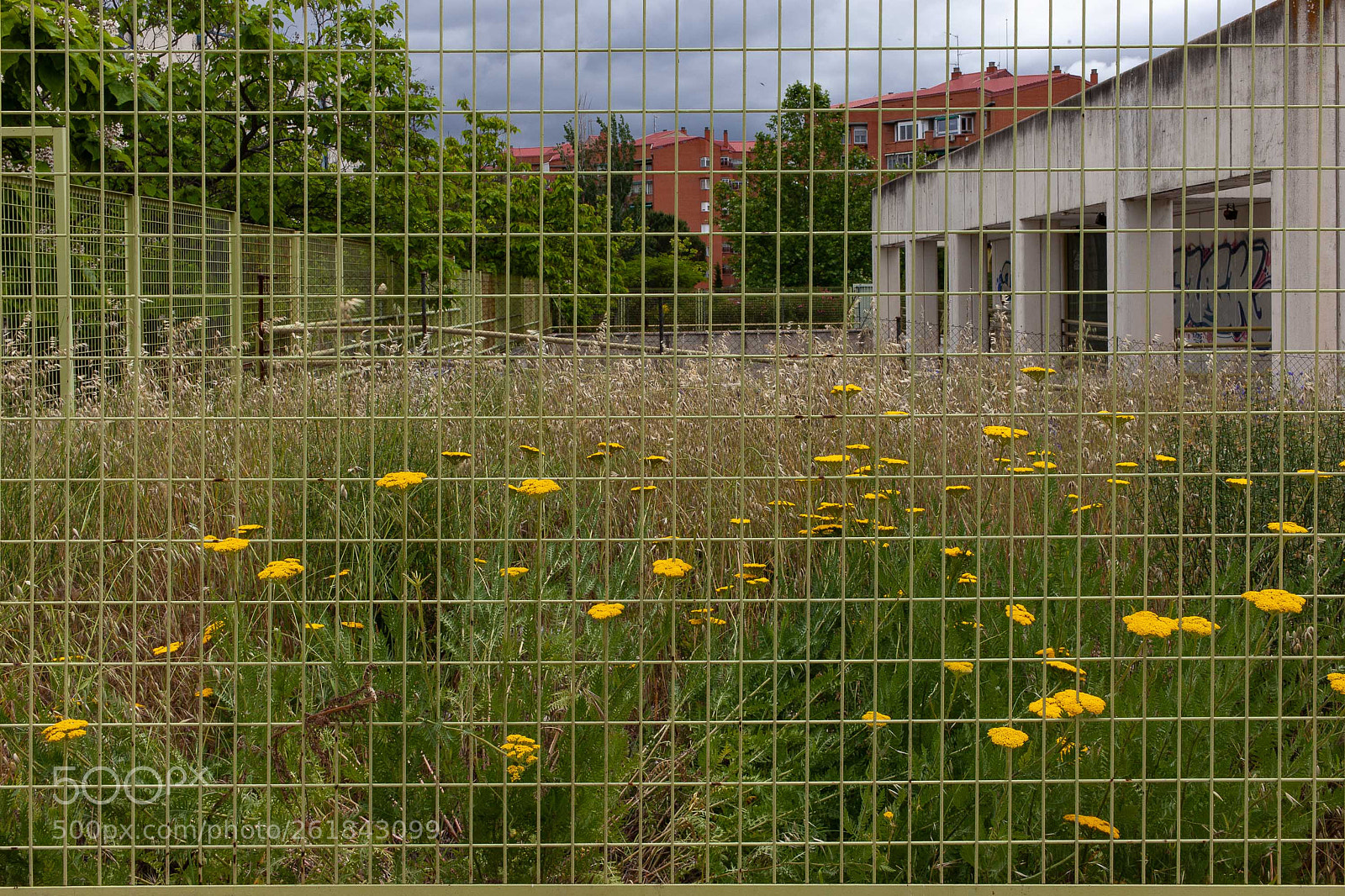 Canon EOS 5D Mark II sample photo. Fence photography