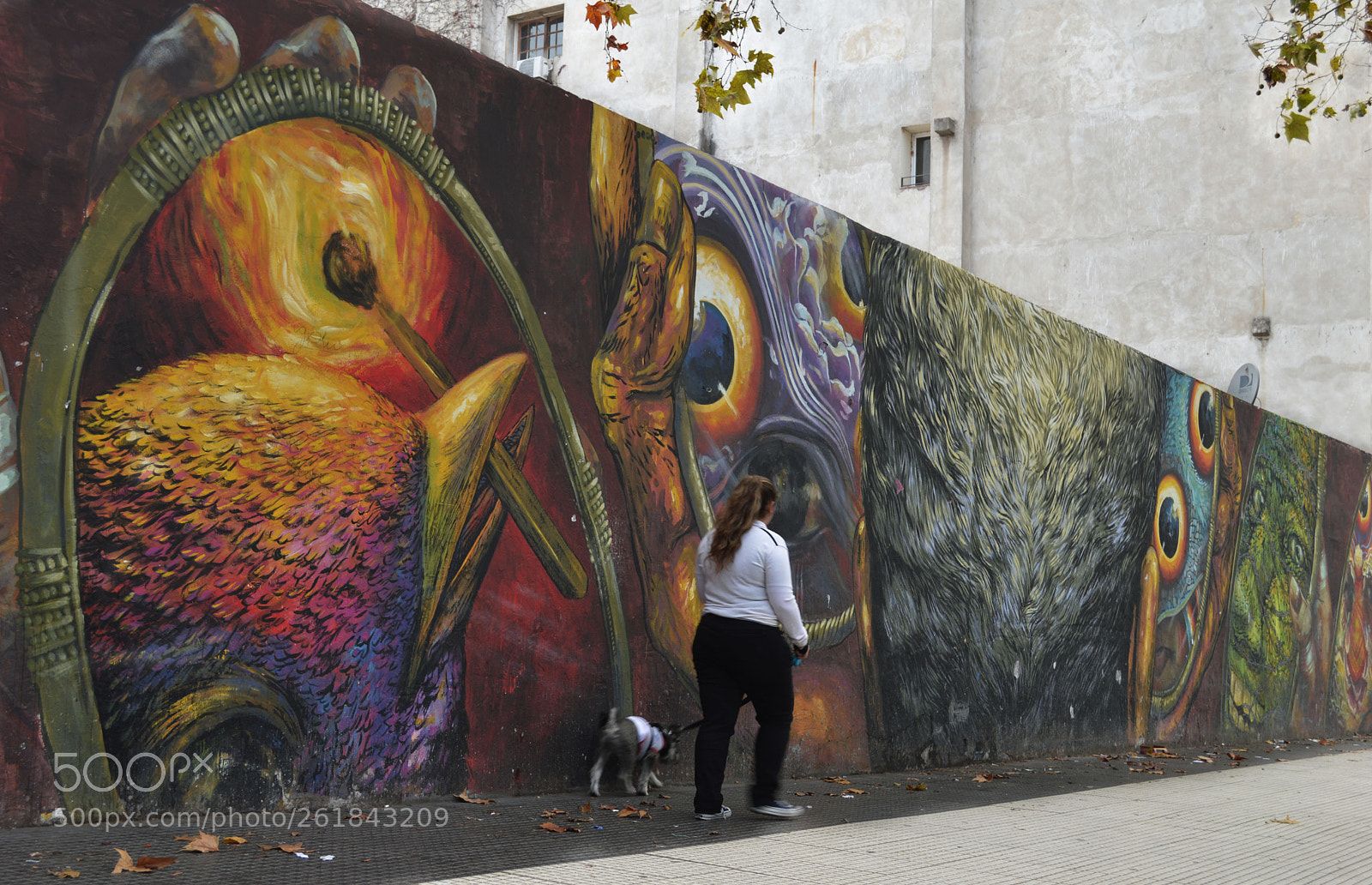 Nikon D3200 sample photo. Mural photography