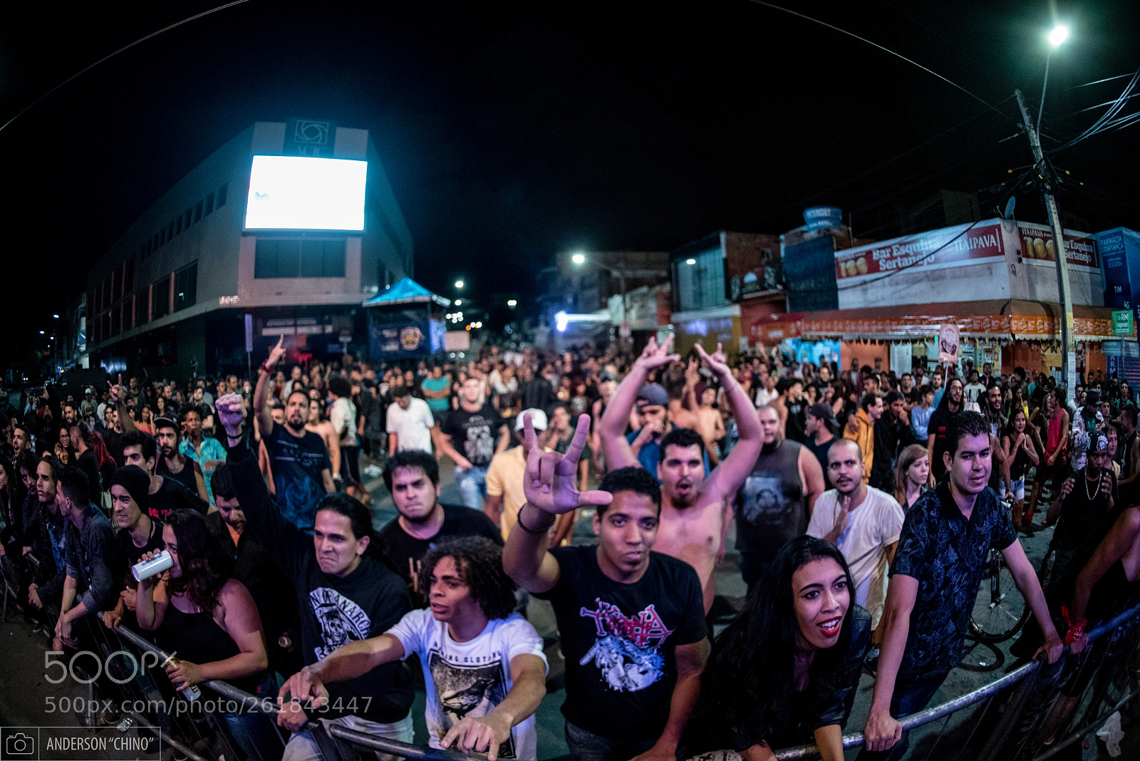 Nikon D750 sample photo. Horns up photography