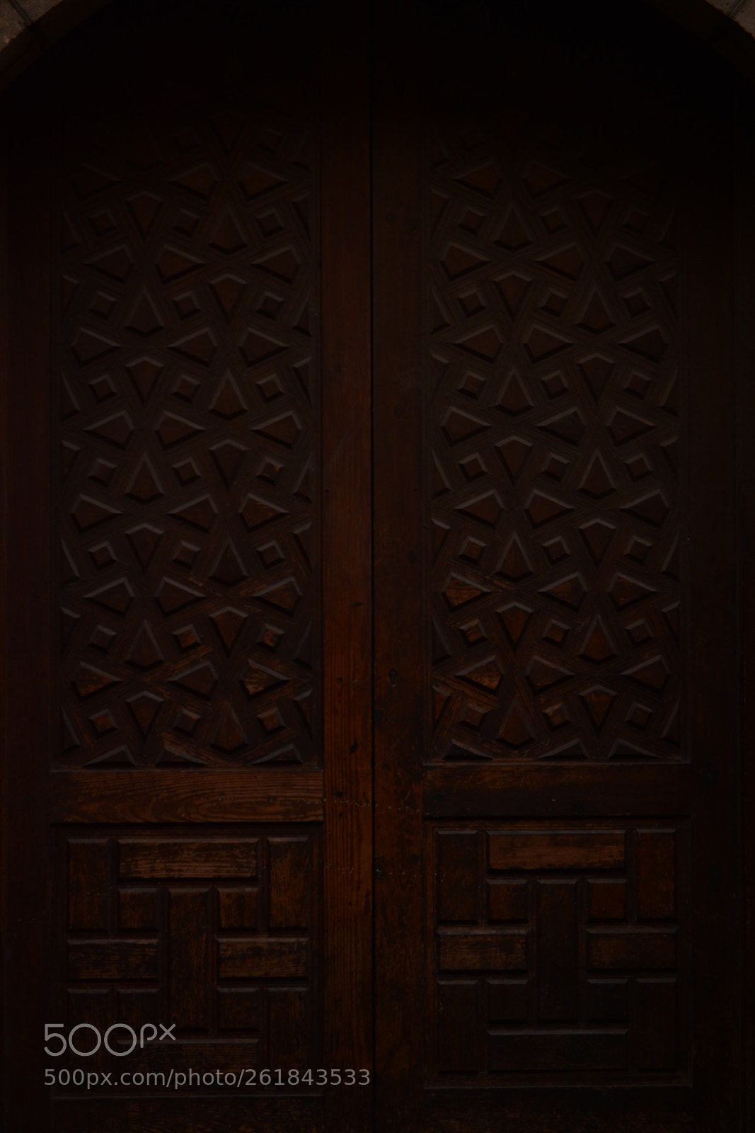 Nikon D3100 sample photo. Door photography