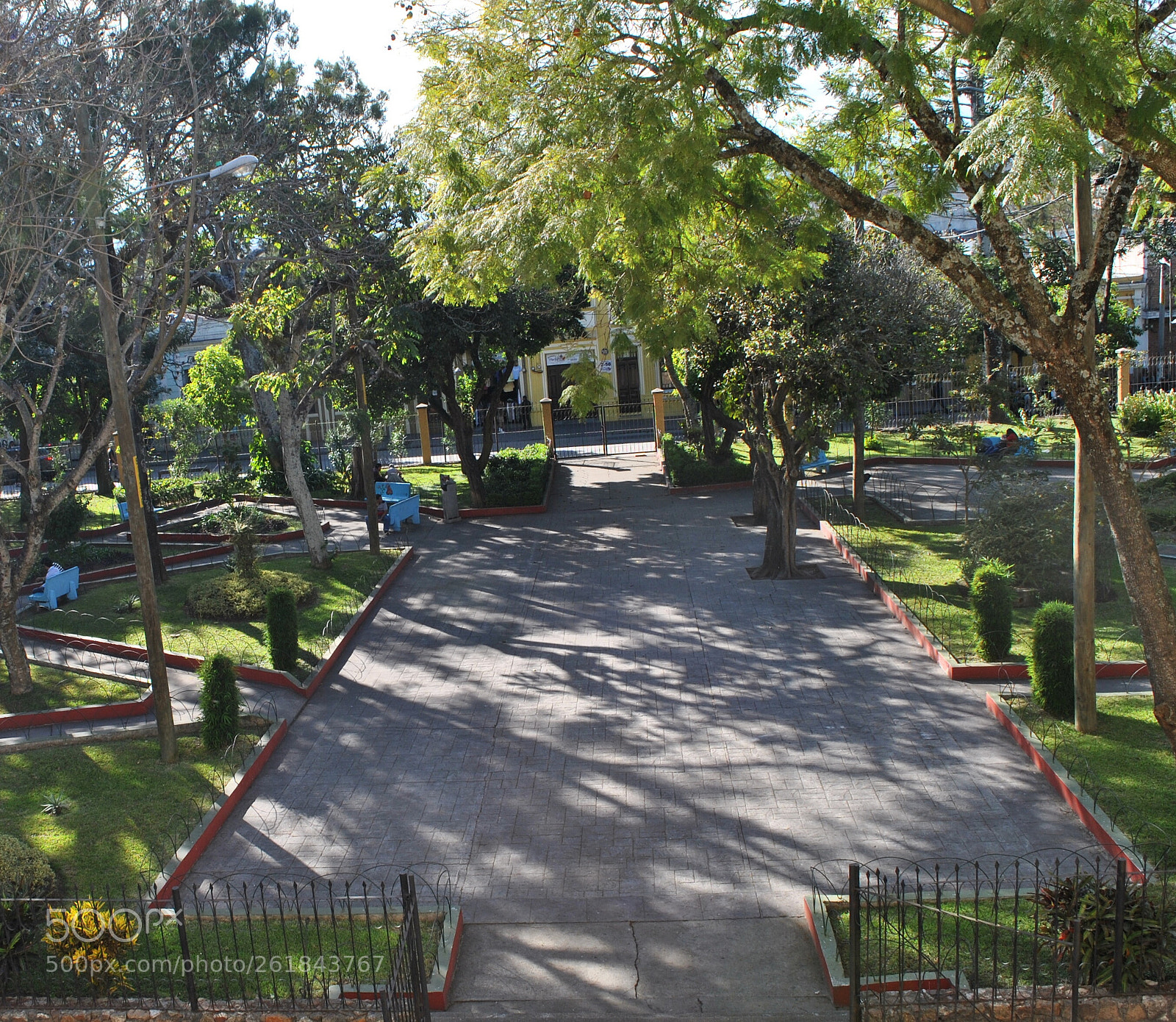 Nikon D3000 sample photo. Luz contrapicada photography