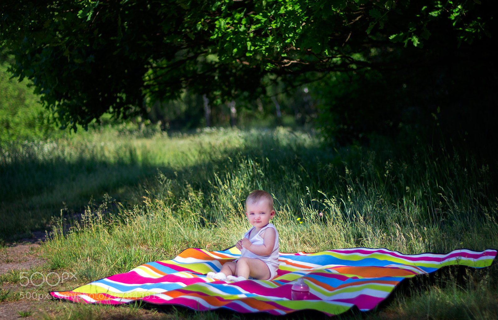Pentax K-5 sample photo. Picnic... photography