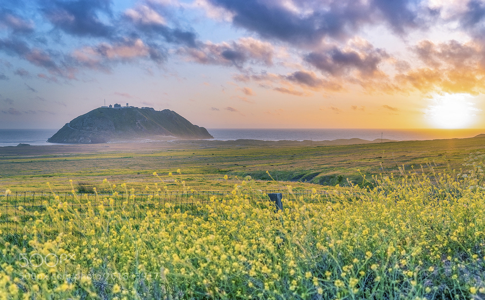 Sony a7 III sample photo. Sunset photography