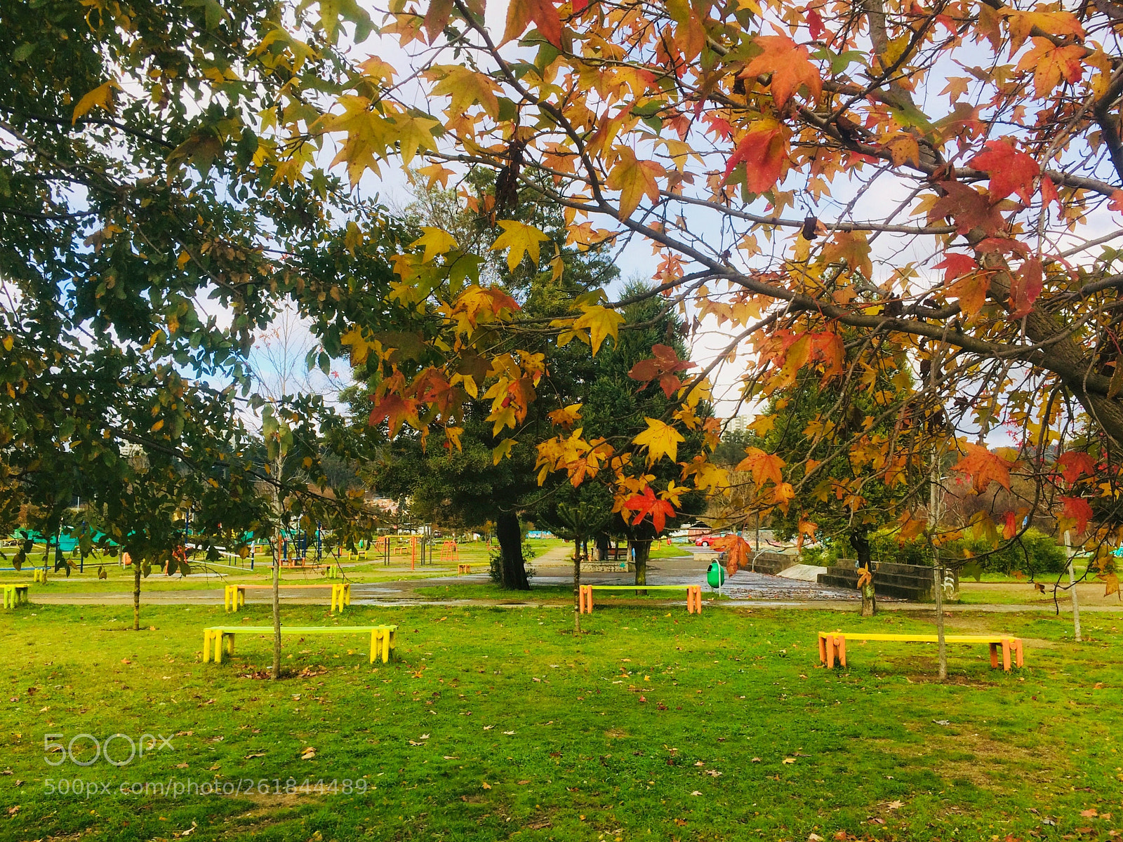Apple iPhone 5s sample photo. Autumnal  photography