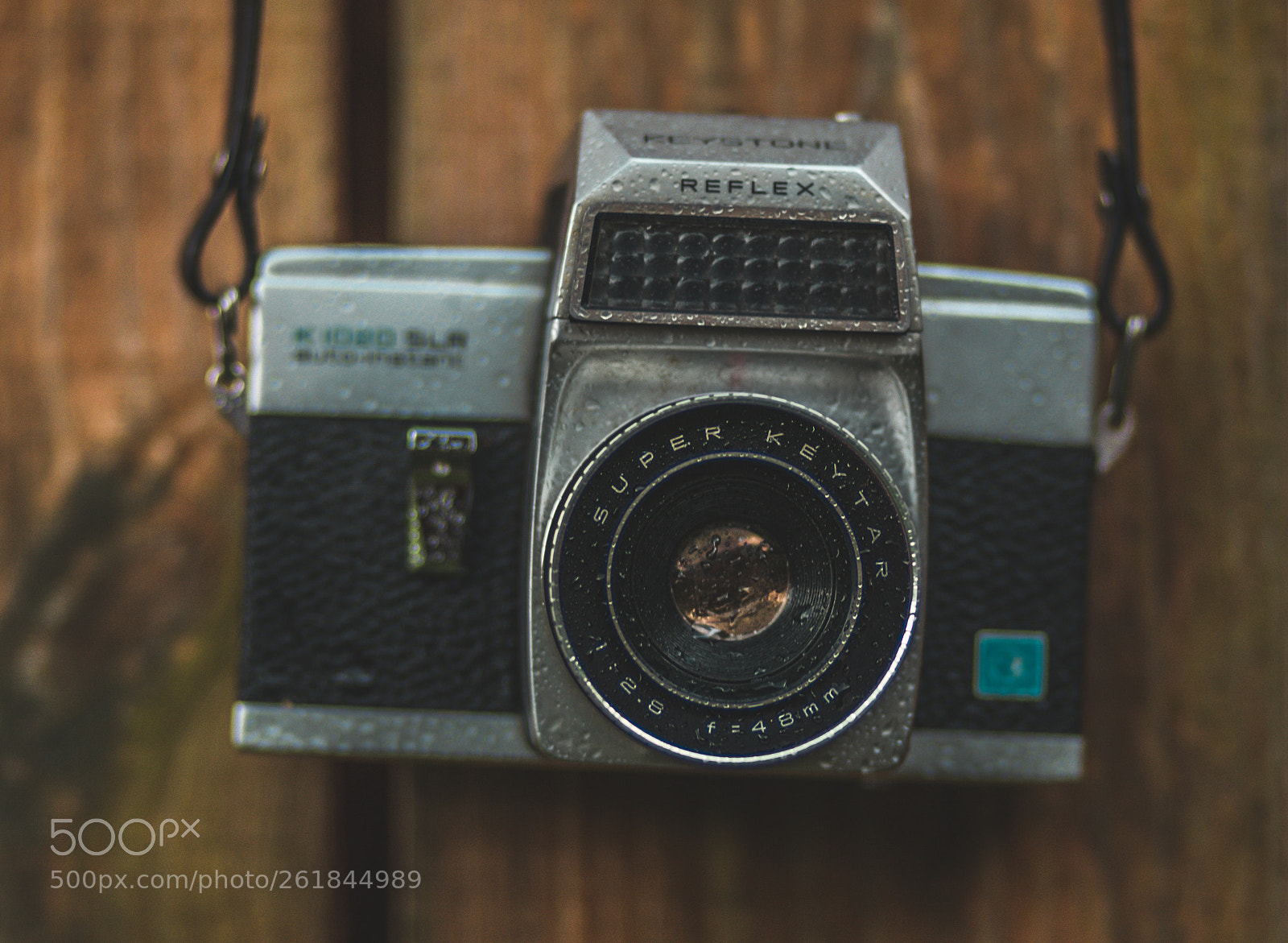 Canon EOS 80D sample photo. Untitled photography