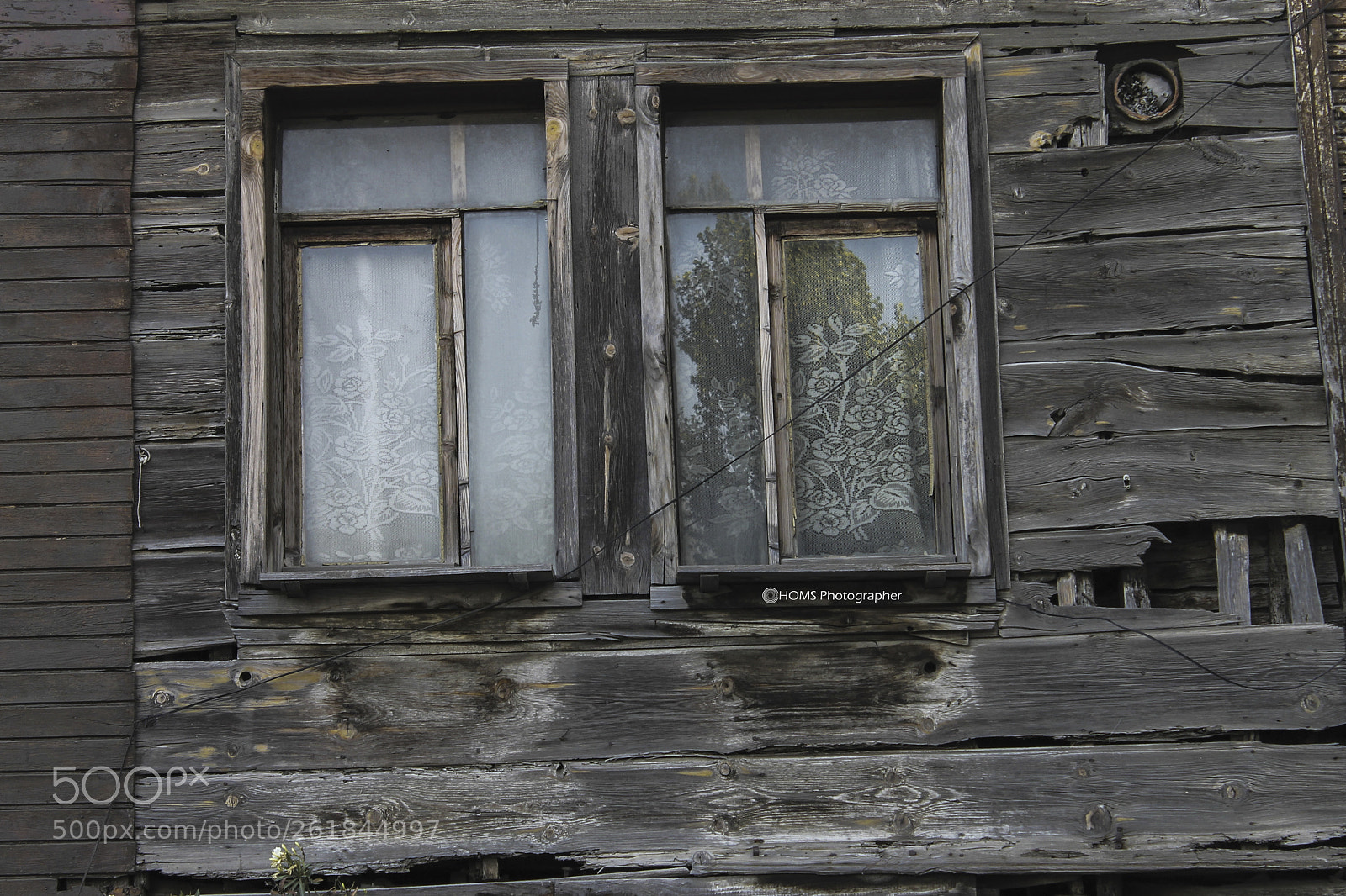 Canon EOS 1100D (EOS Rebel T3 / EOS Kiss X50) sample photo. Fossil photography