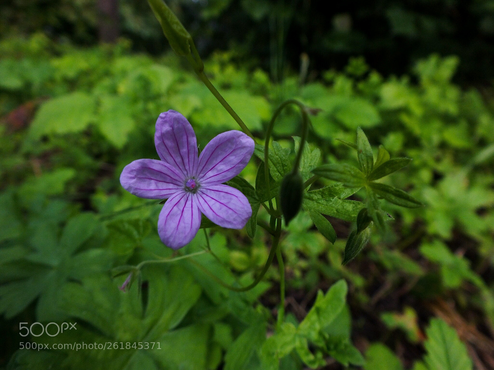 Fujifilm FinePix HS28EXR sample photo. Untitled photography