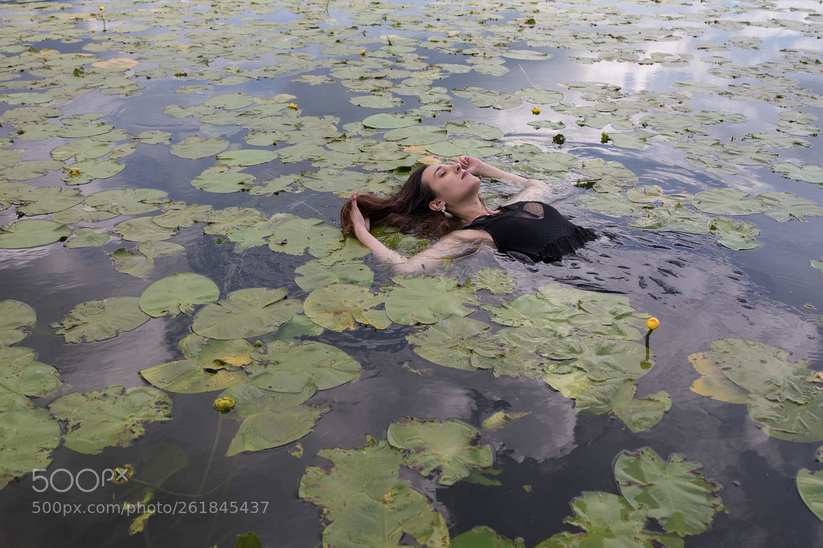 Canon EOS 5D Mark IV sample photo. Marion among water lilies photography