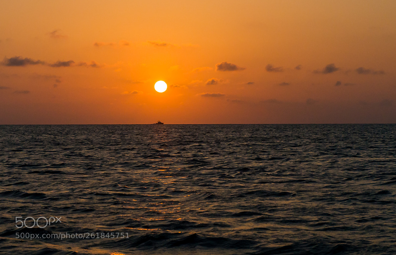 Nikon D600 sample photo. Off into the sunset ... photography