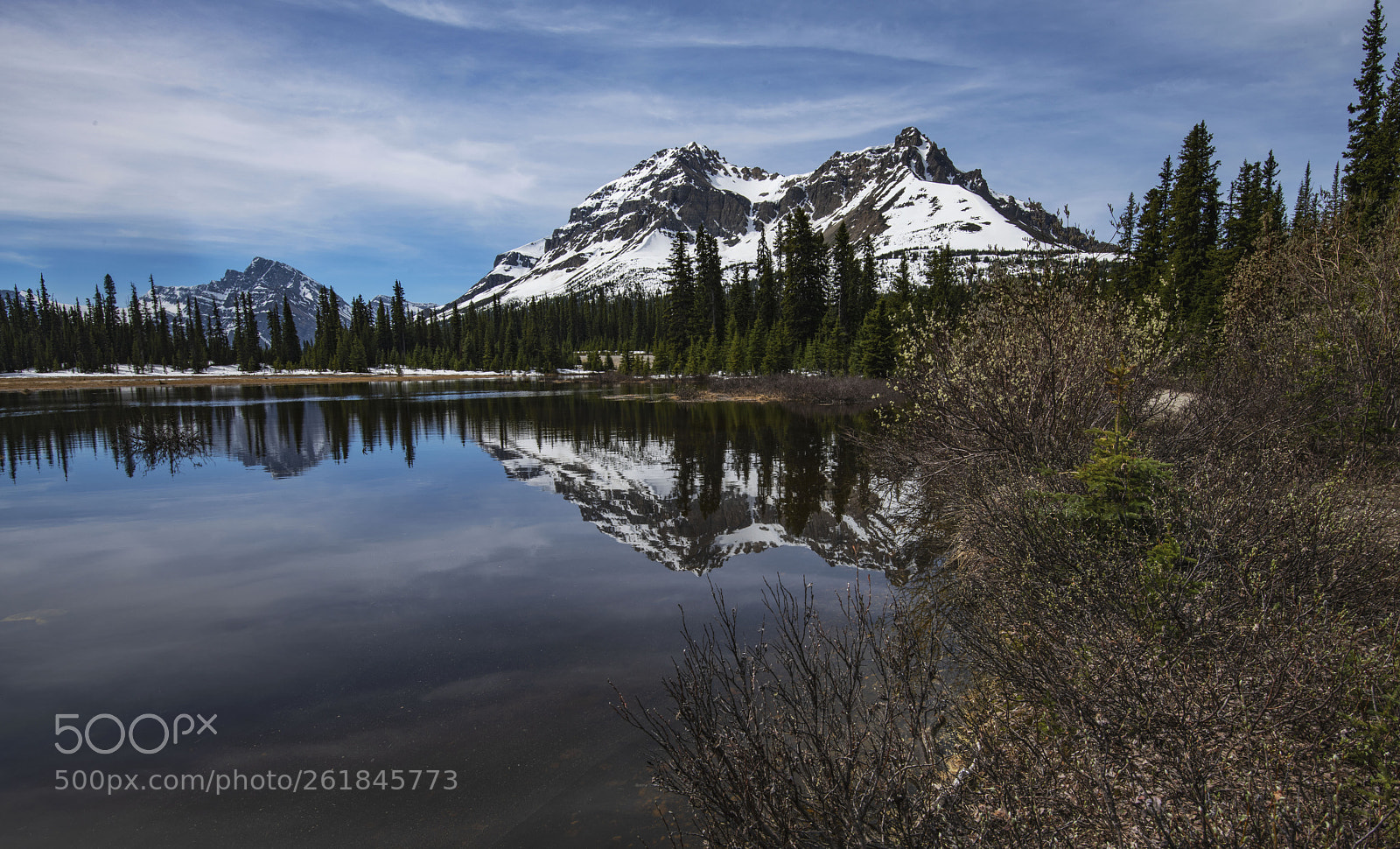 Nikon D850 sample photo. Bow summit-banff national park photography