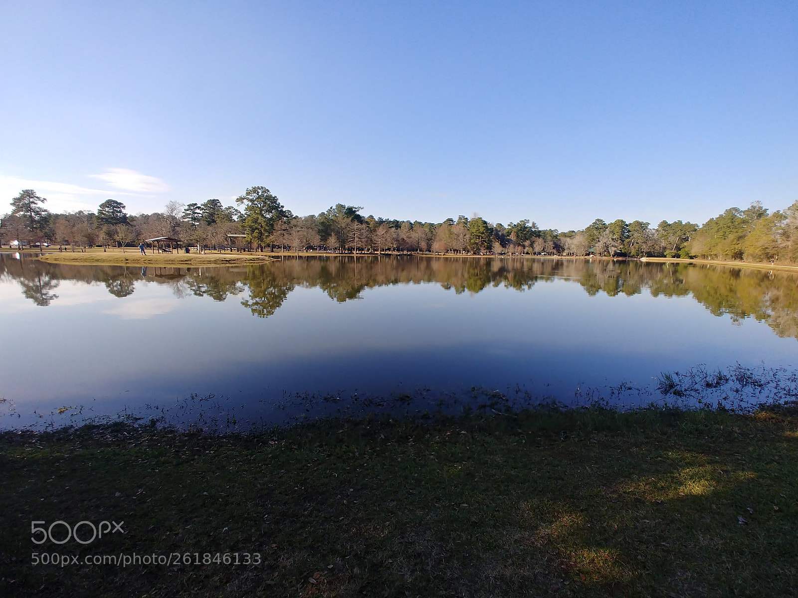 LG V30 sample photo. Park pond photography