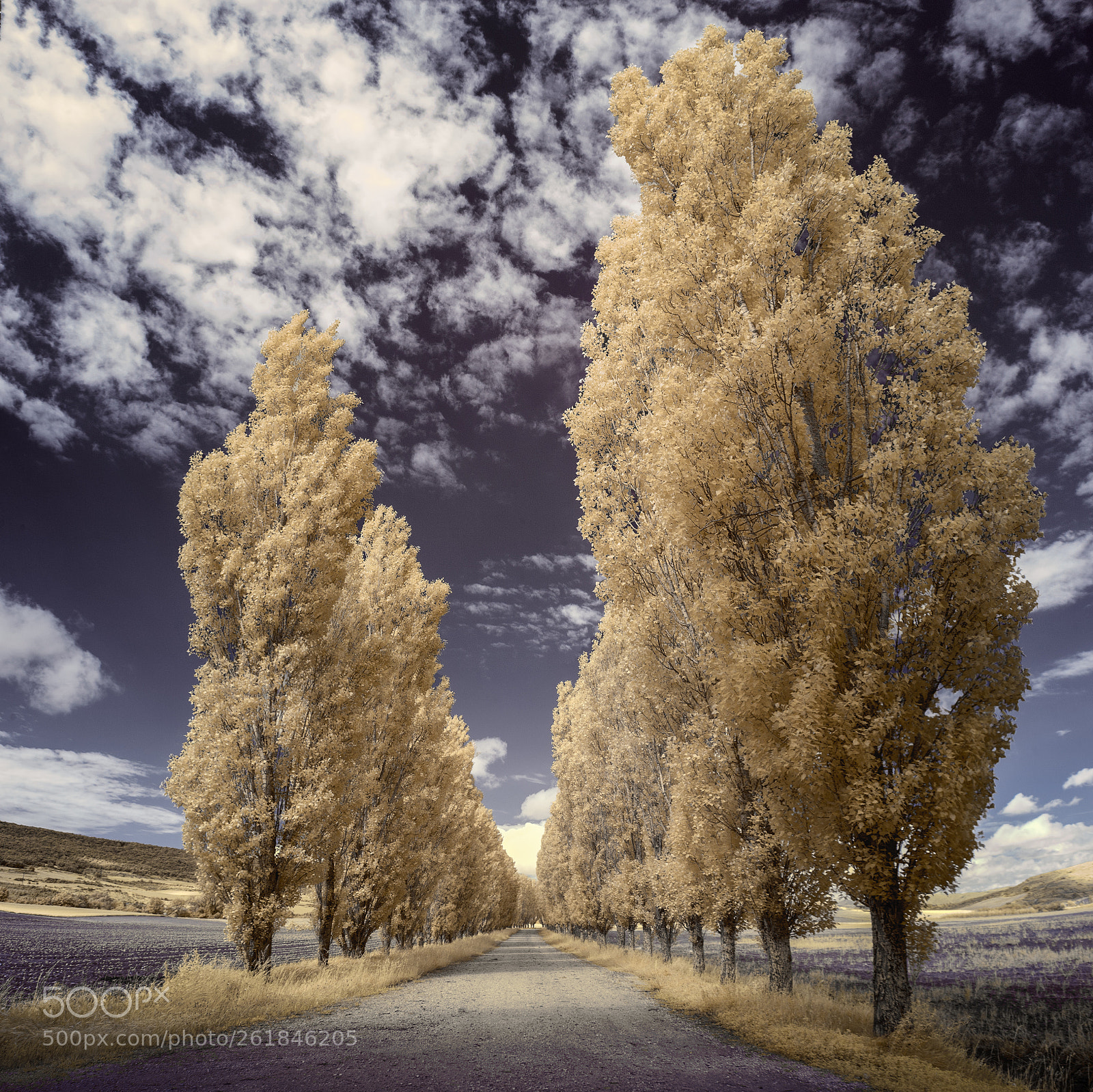 Canon EOS 5D sample photo. Lonely paths photography