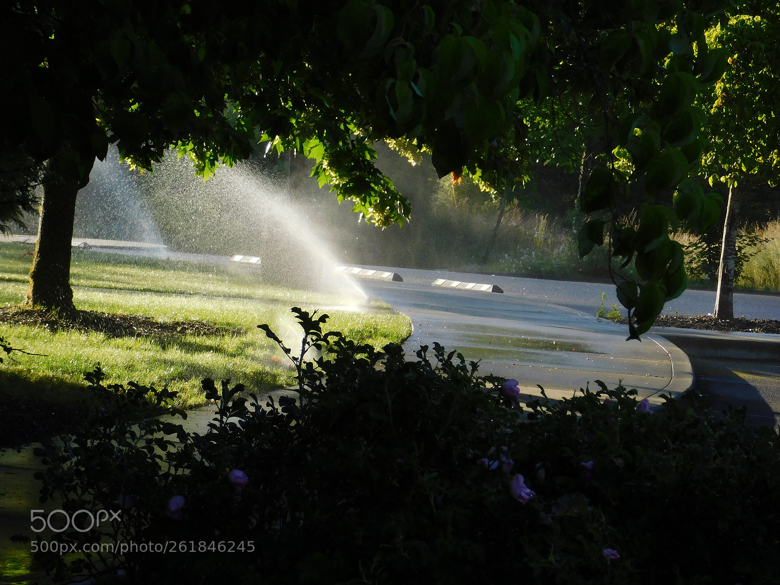 Nikon Coolpix B500 sample photo. Sprinklers dupont girl scout photography