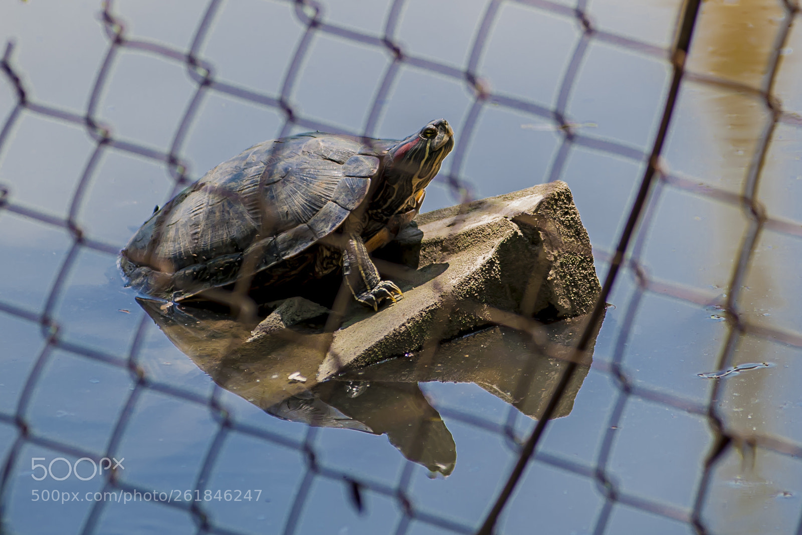 Nikon D700 sample photo. Nature photography