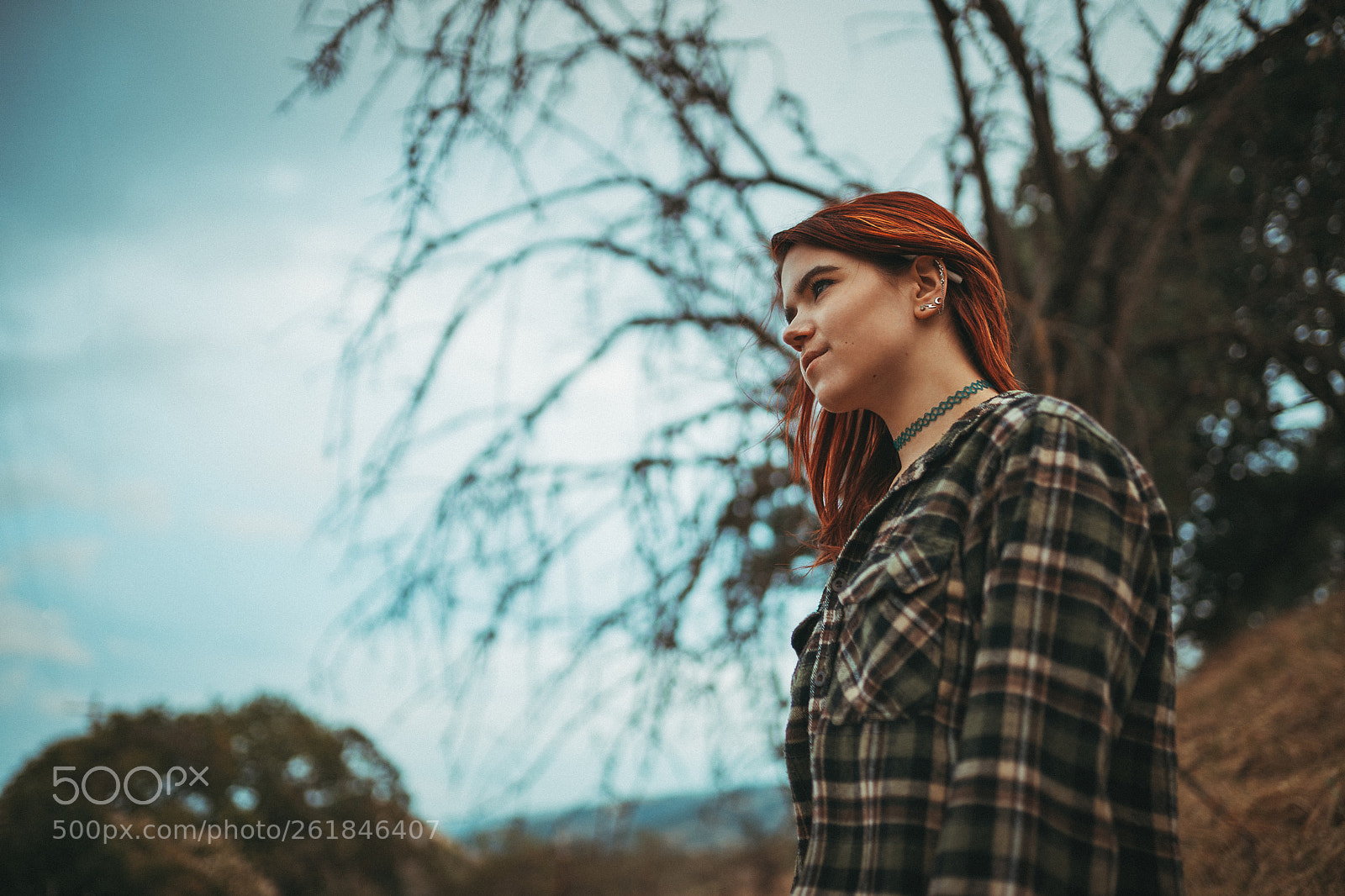 Sony a7 III sample photo. Untitled photography