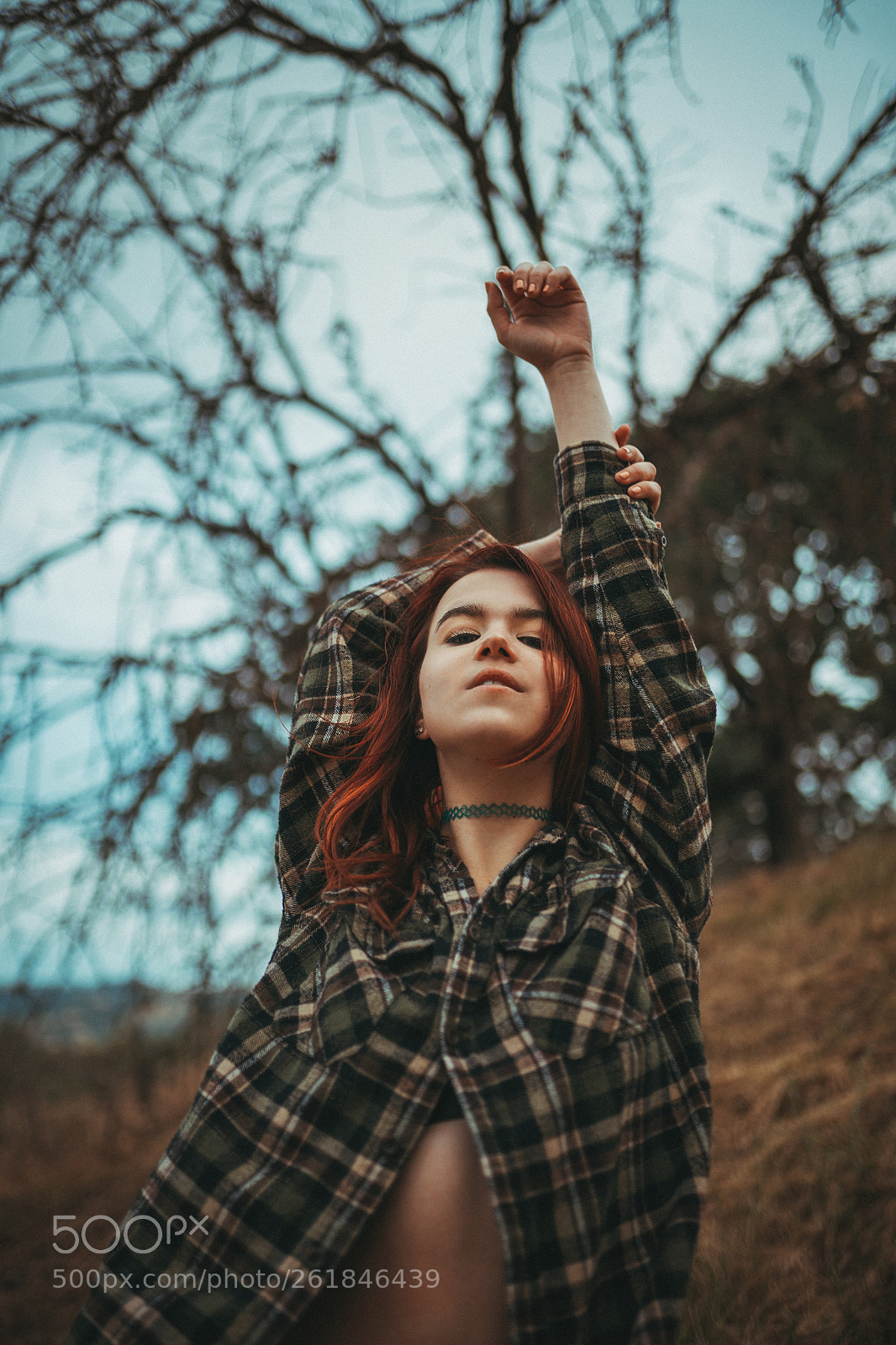 Sony a7 III sample photo. Untitled photography