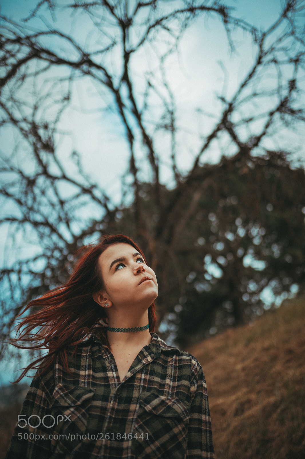 Sony a7 III sample photo. Untitled photography