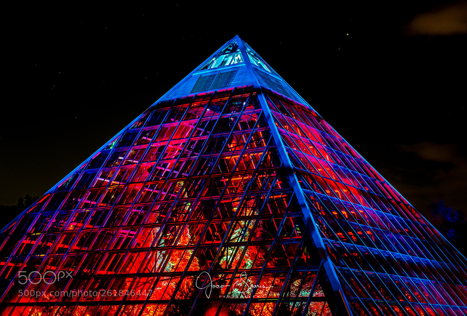 Canon EOS 5D Mark IV sample photo. Muttard conservatory photography