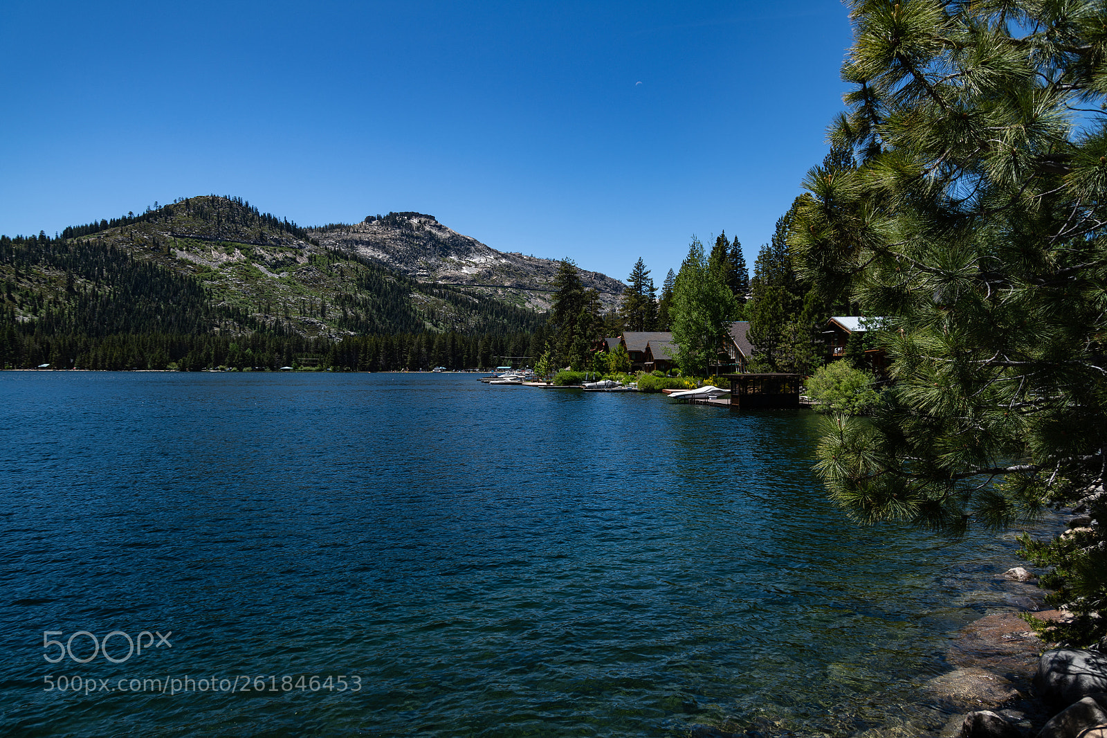 Nikon D850 sample photo. Donner lake in truckee photography