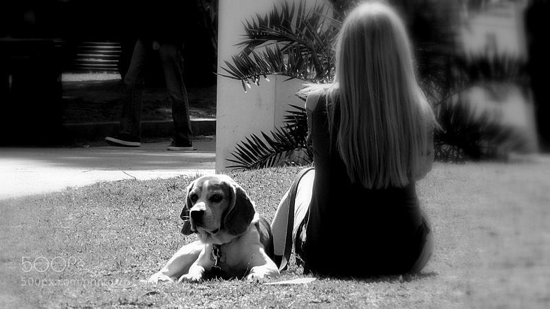 Nikon Coolpix S7000 sample photo. Indiferencia photography